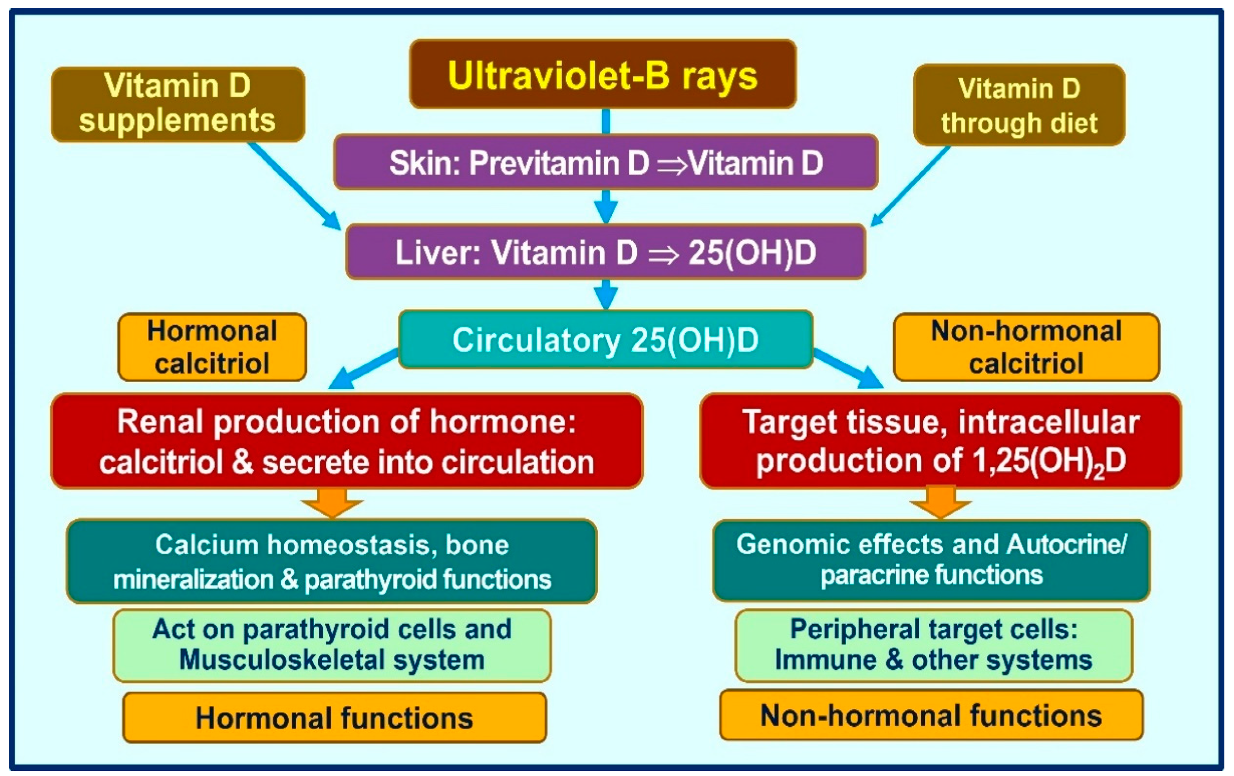 Nutrients 15 03623 g003
