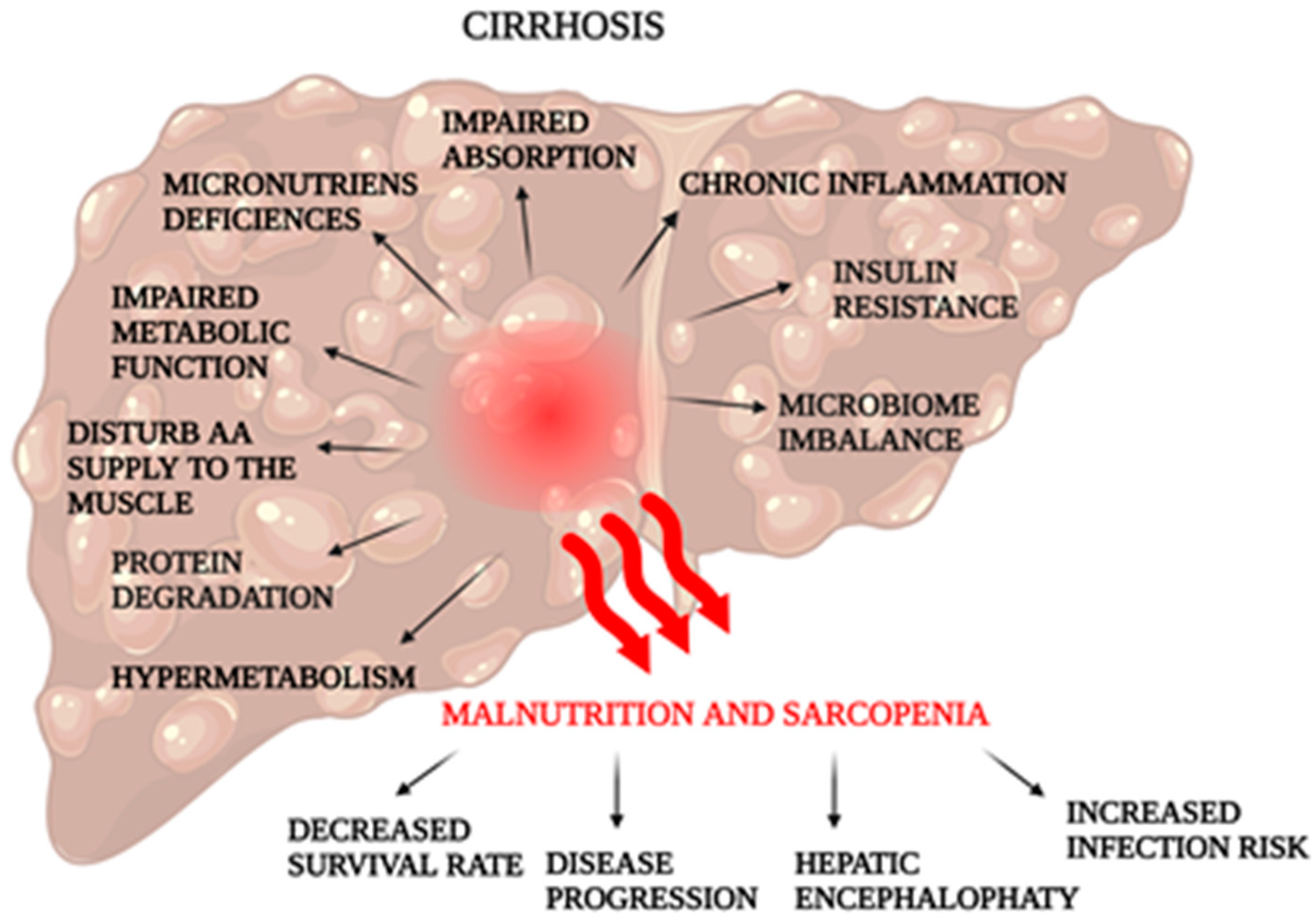 Nutrients 15 03640 g002