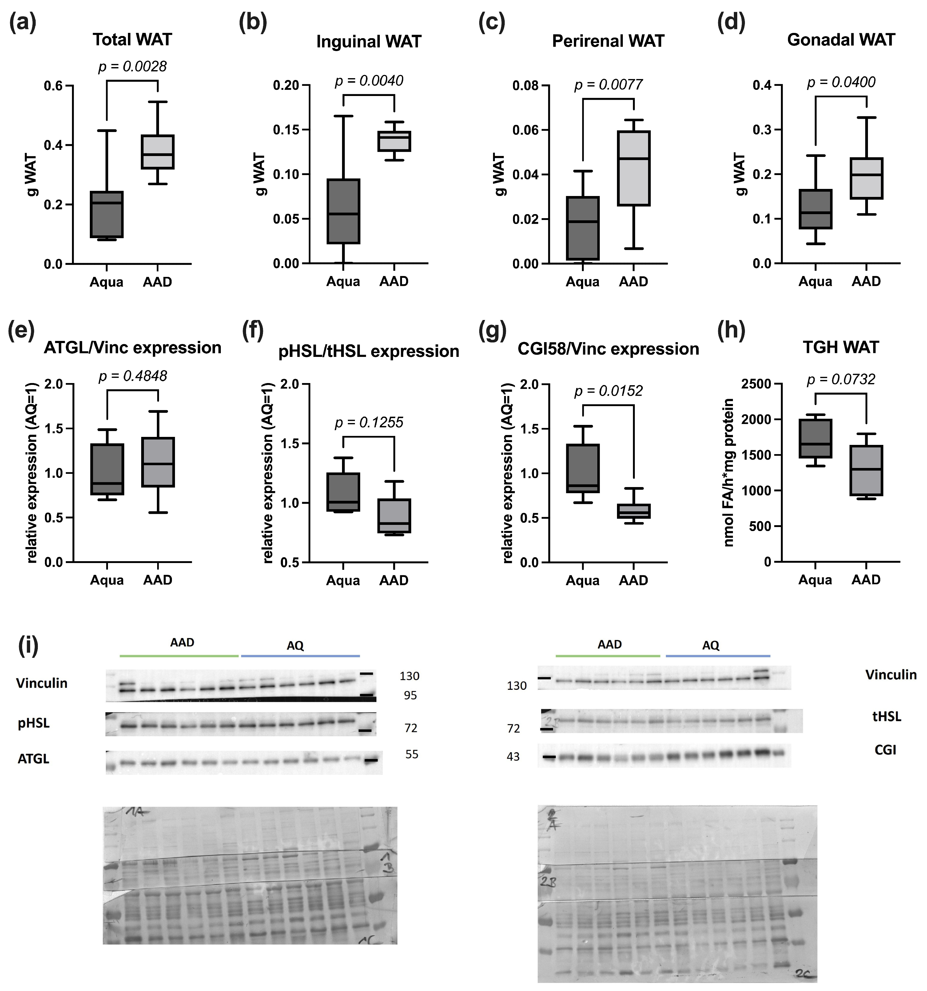 Nutrients 15 03655 g002