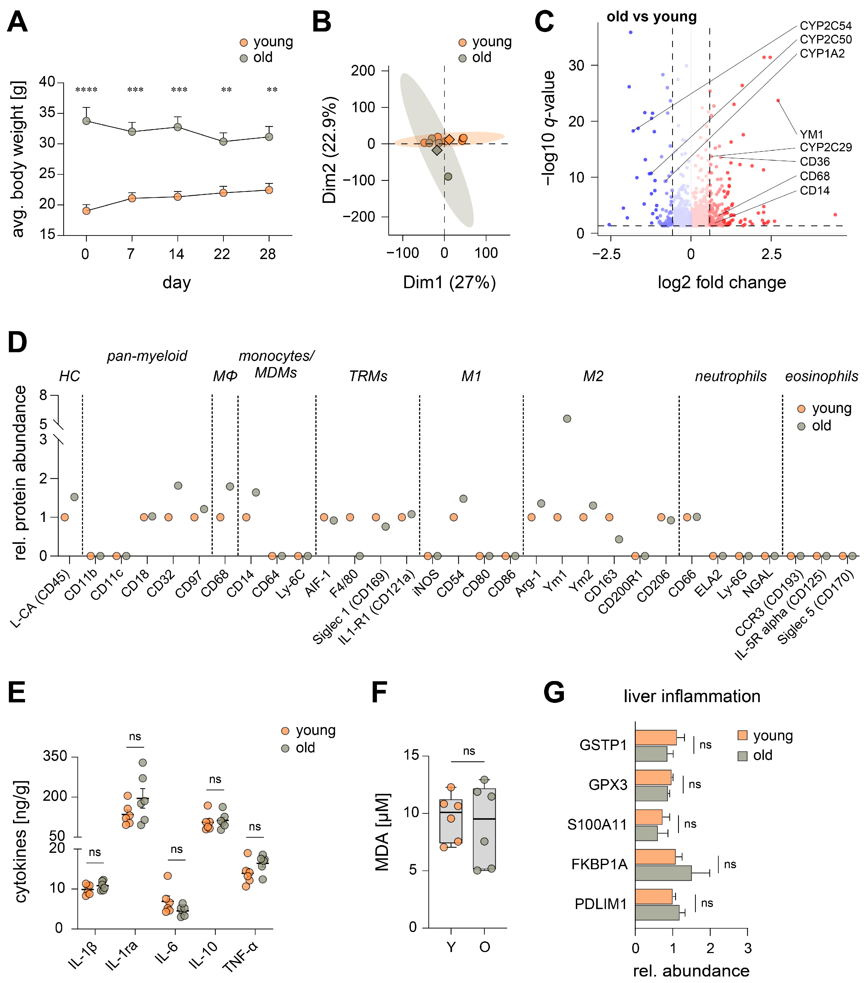 Nutrients 15 03660 g001