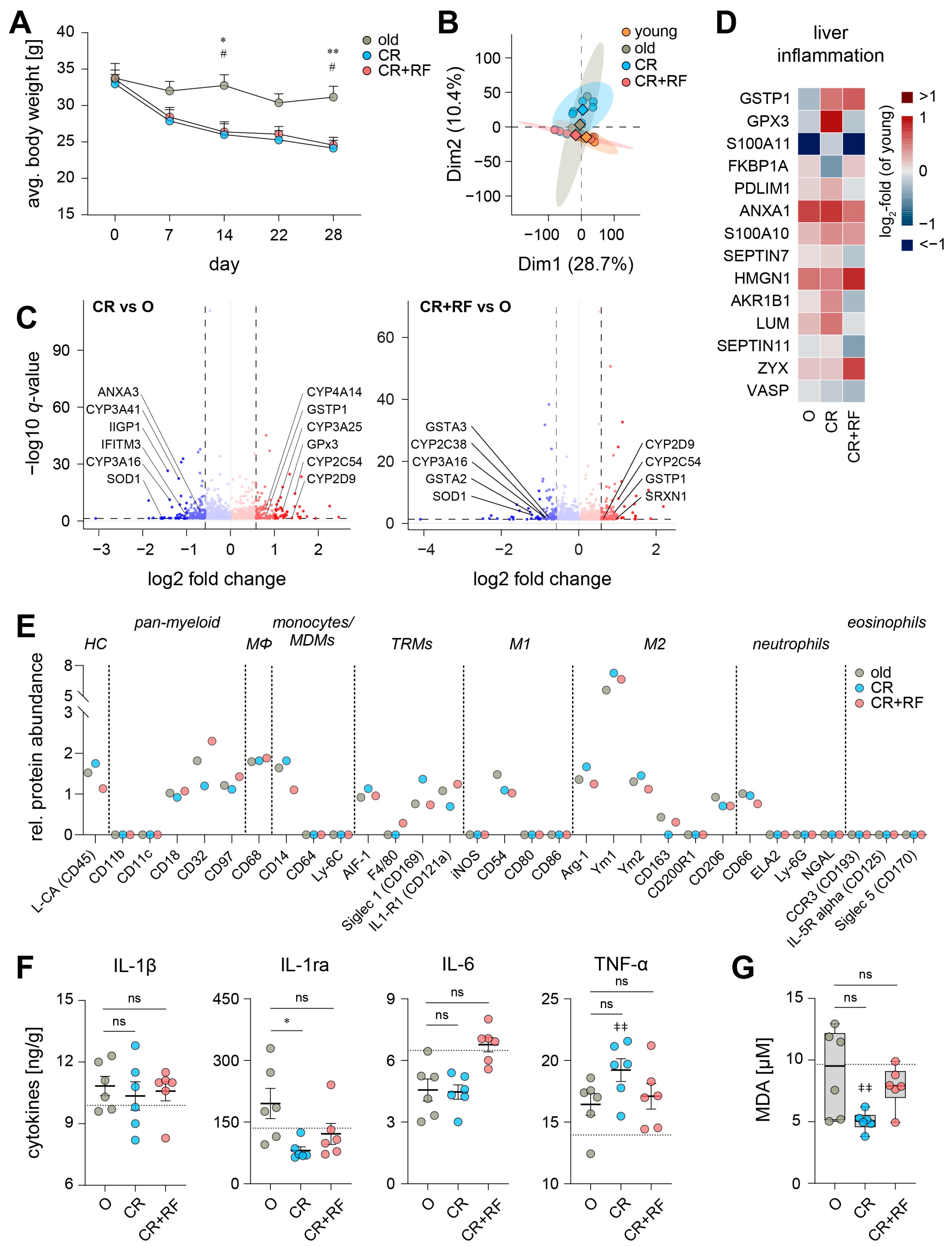 Nutrients 15 03660 g003