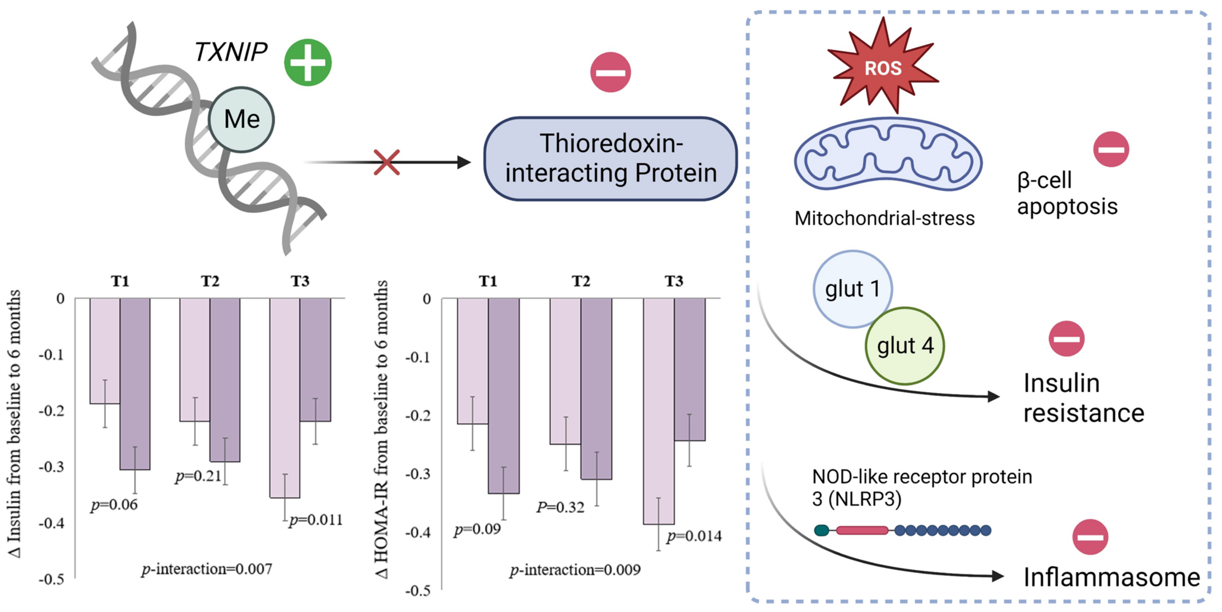 Nutrients 15 03665 g001