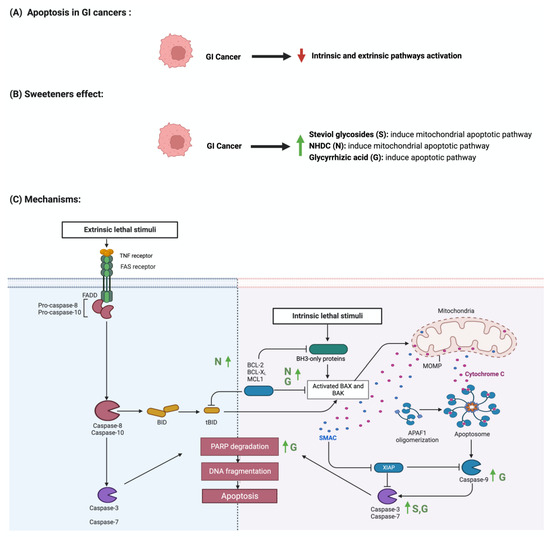 Nutrients Free FullText Sweeteners and the Gut Microbiome Effects