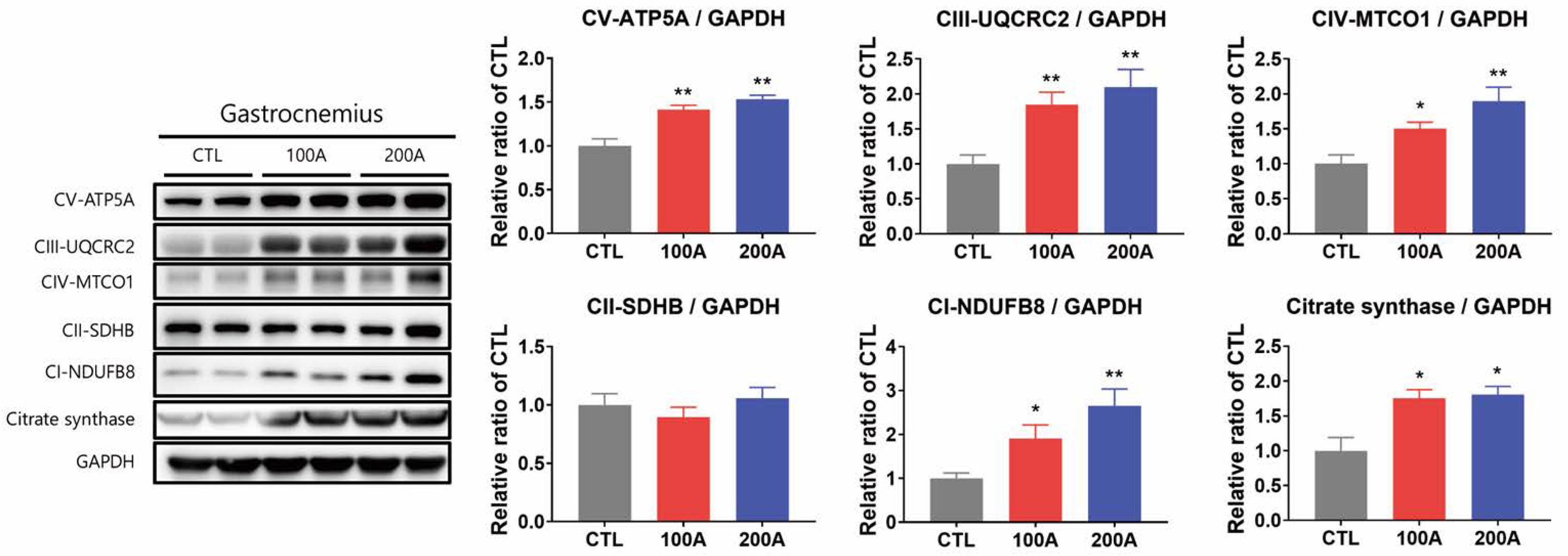 Nutrients 15 03678 g007