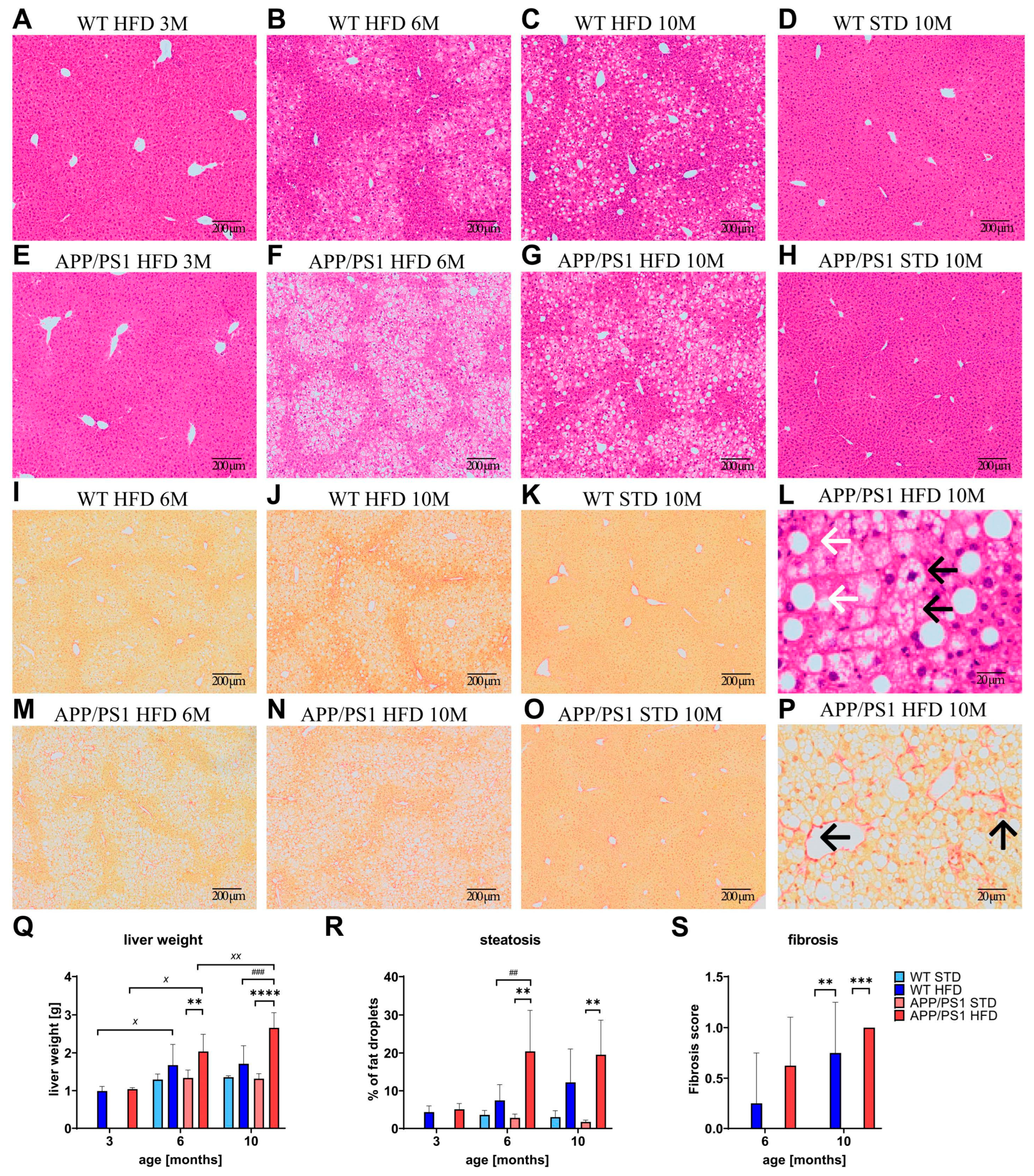 Nutrients 15 03690 g005