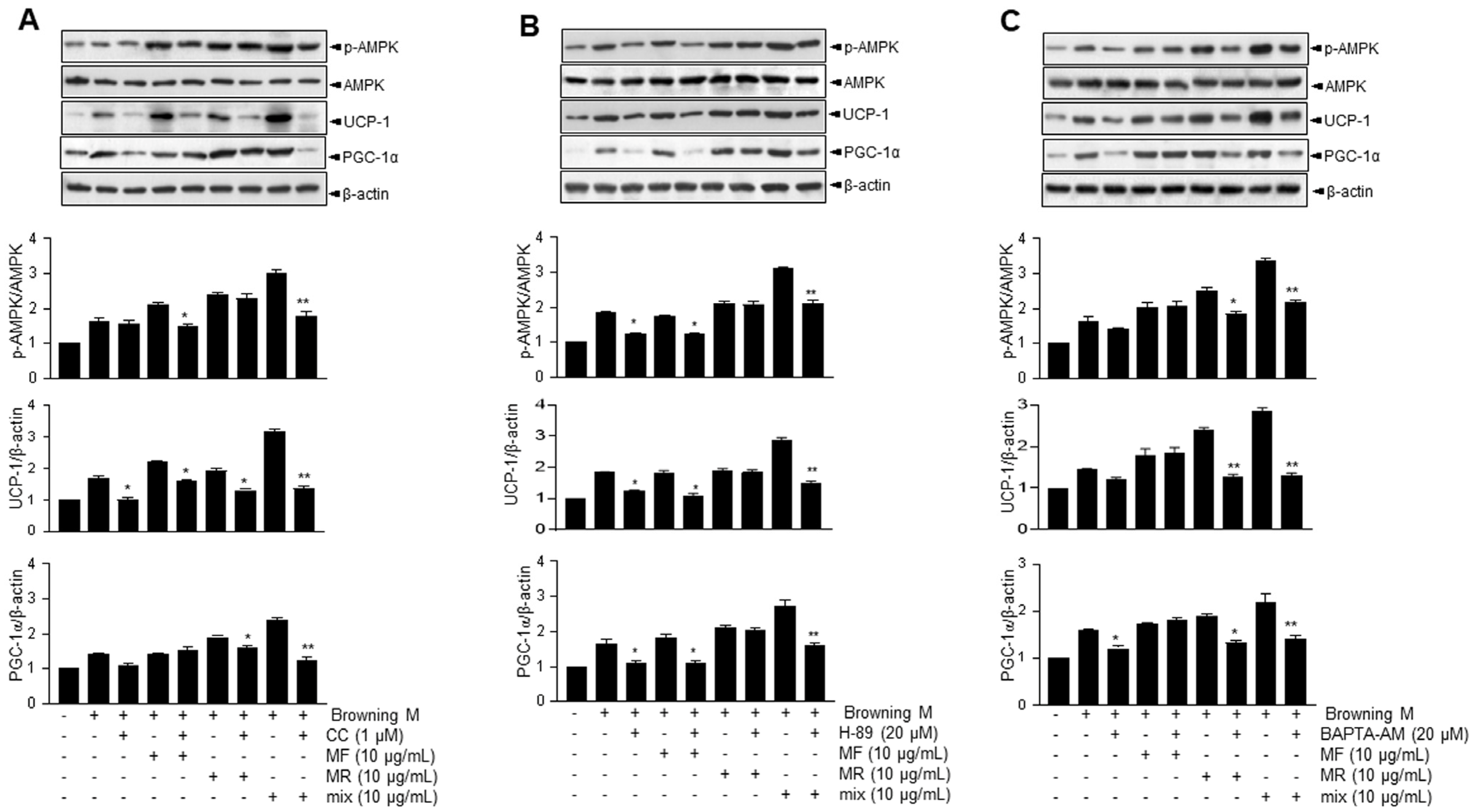 Nutrients 15 03713 g002