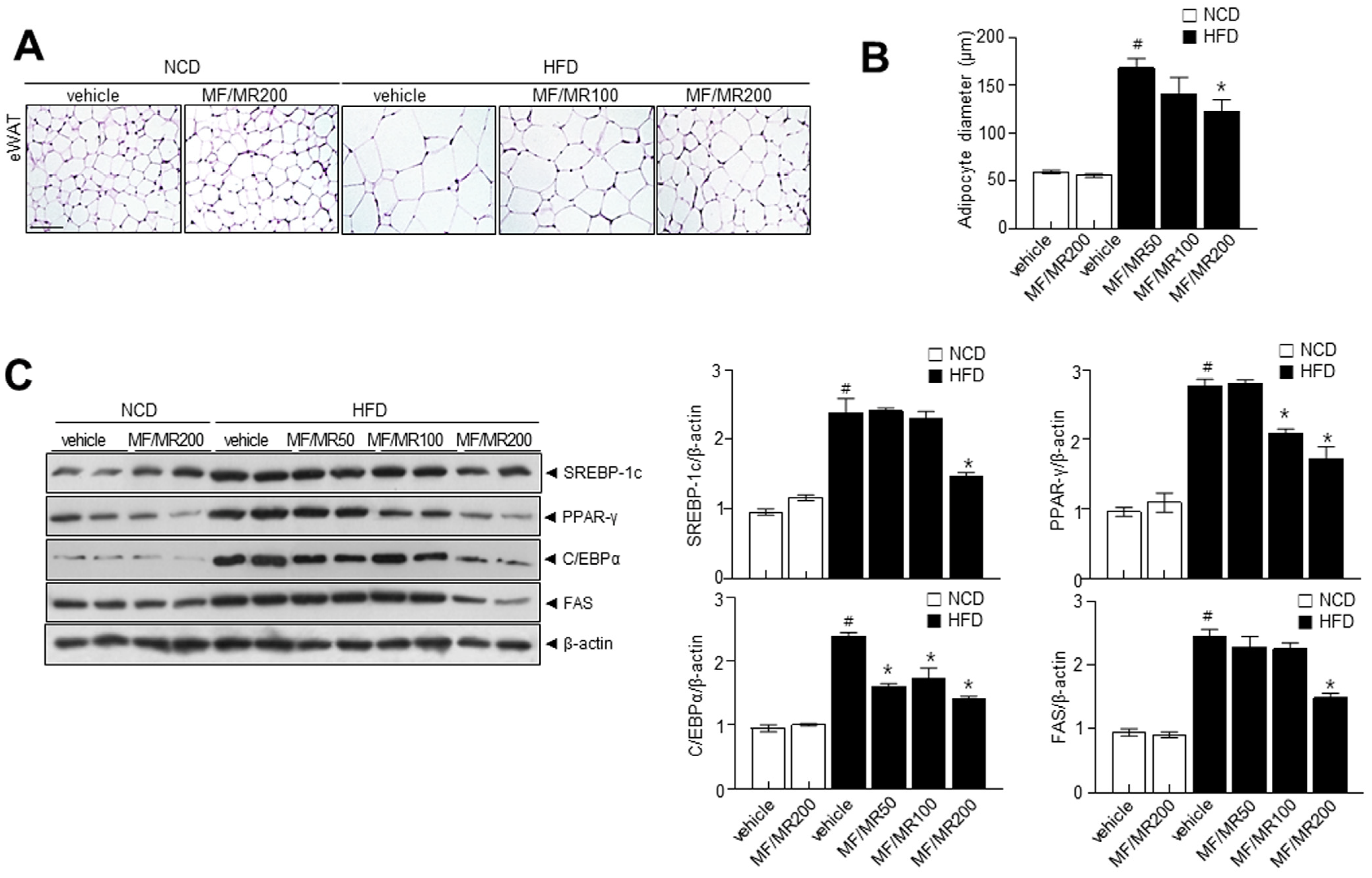 Nutrients 15 03713 g005