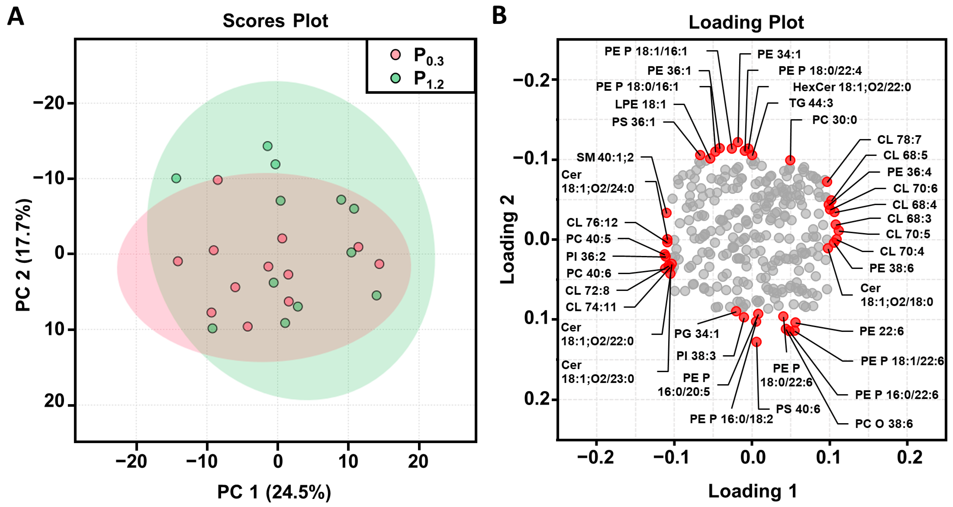 Nutrients 15 03734 g002 Nutrients 15 03734 g002