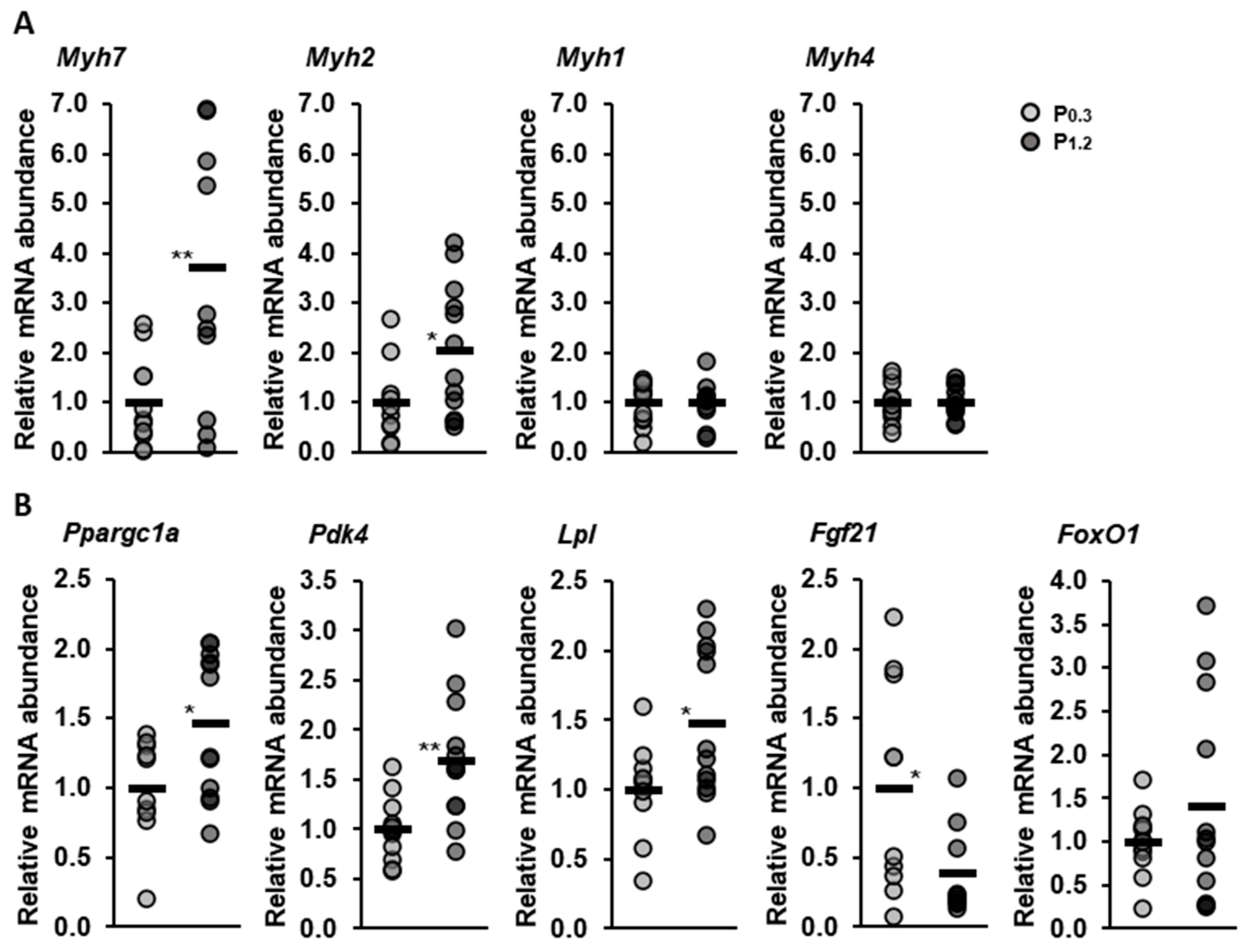 Nutrients 15 03734 g006 Nutrients 15 03734 g006