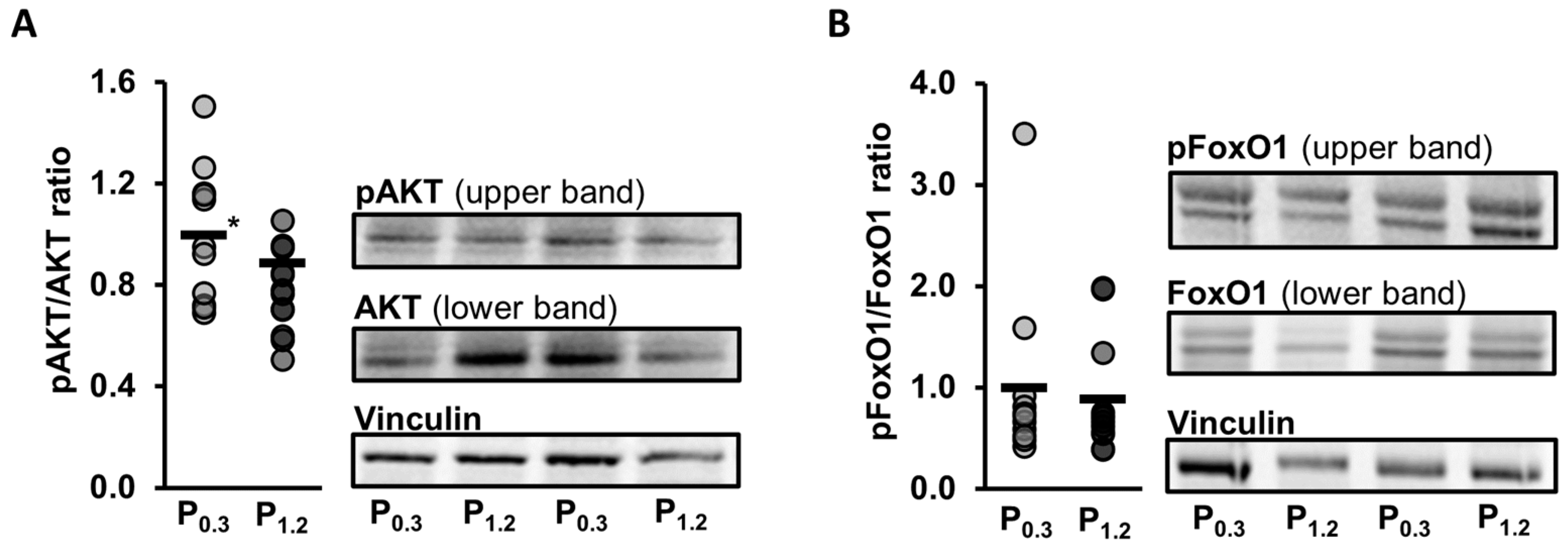Nutrients 15 03734 g007 Nutrients 15 03734 g007