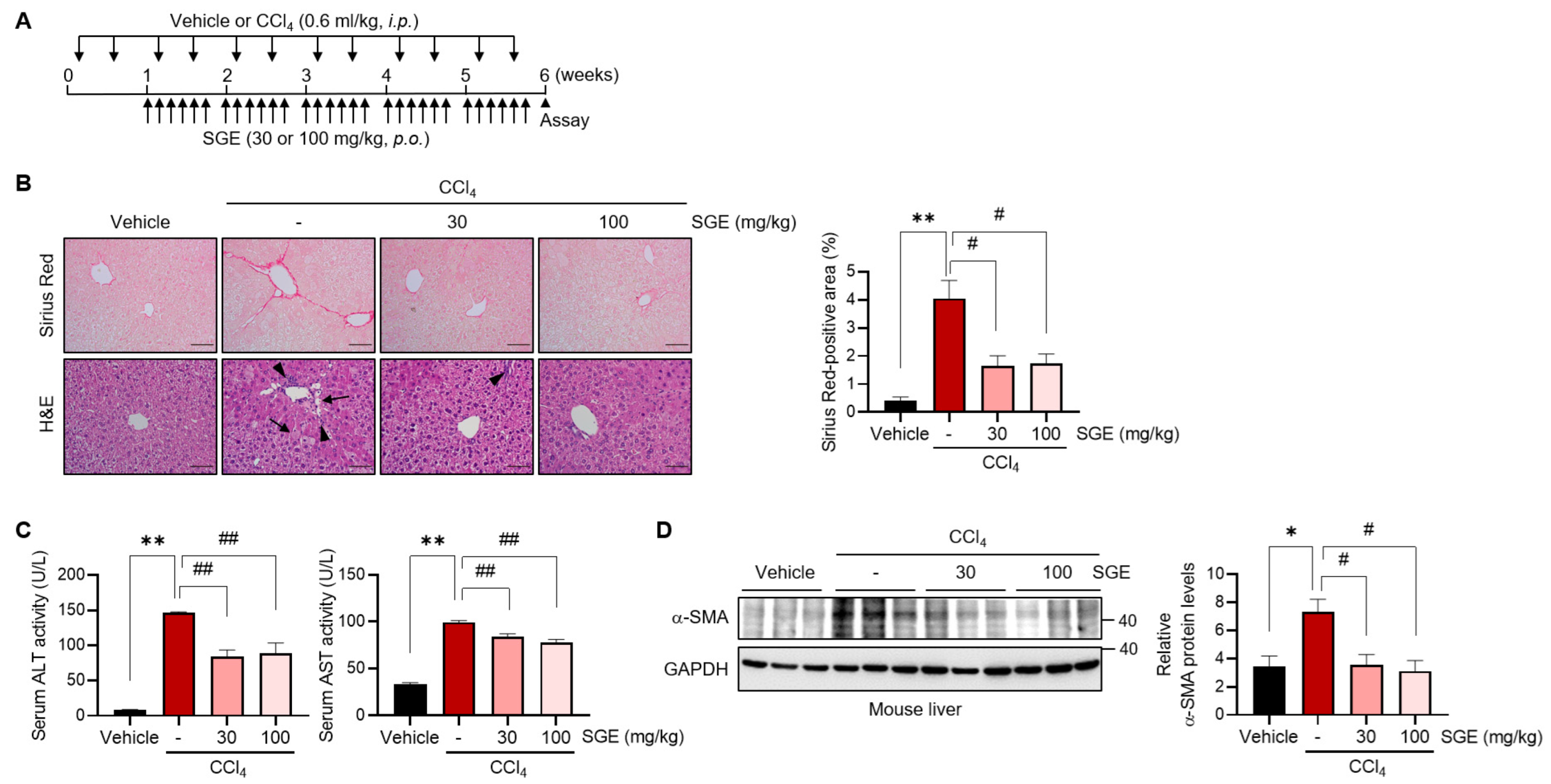 Nutrients 15 03740 g001