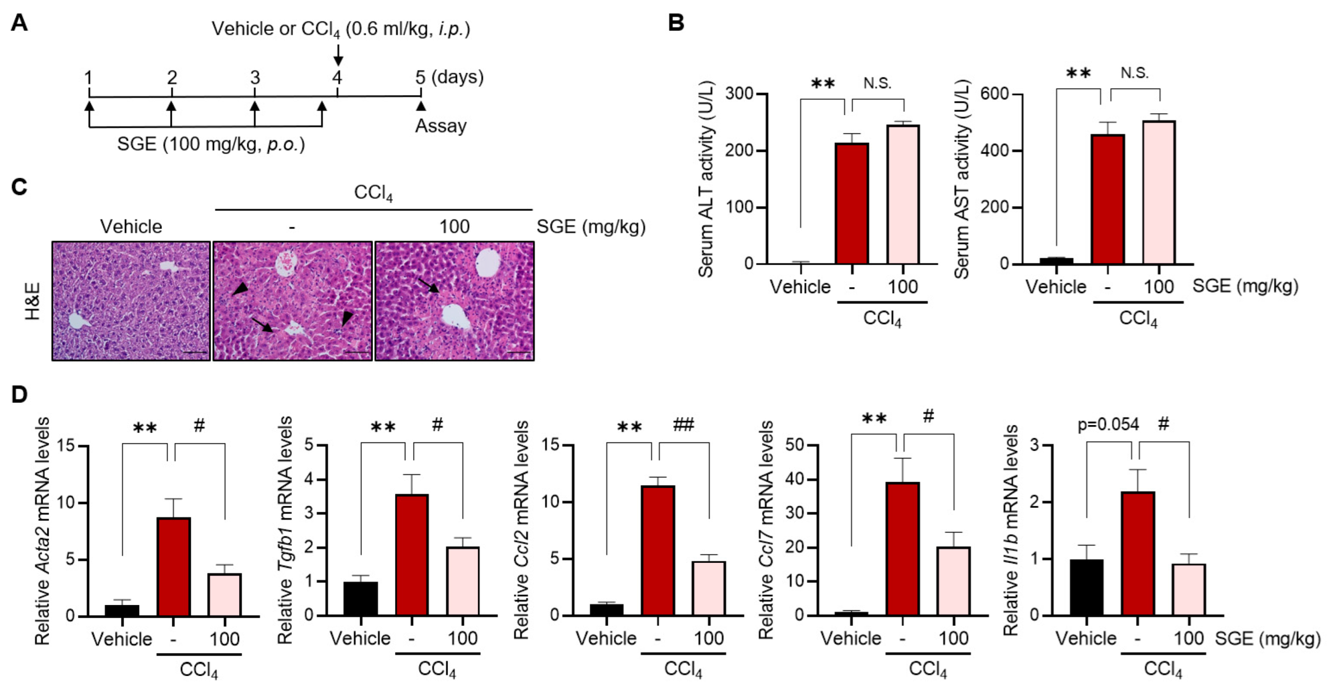 Nutrients 15 03740 g002