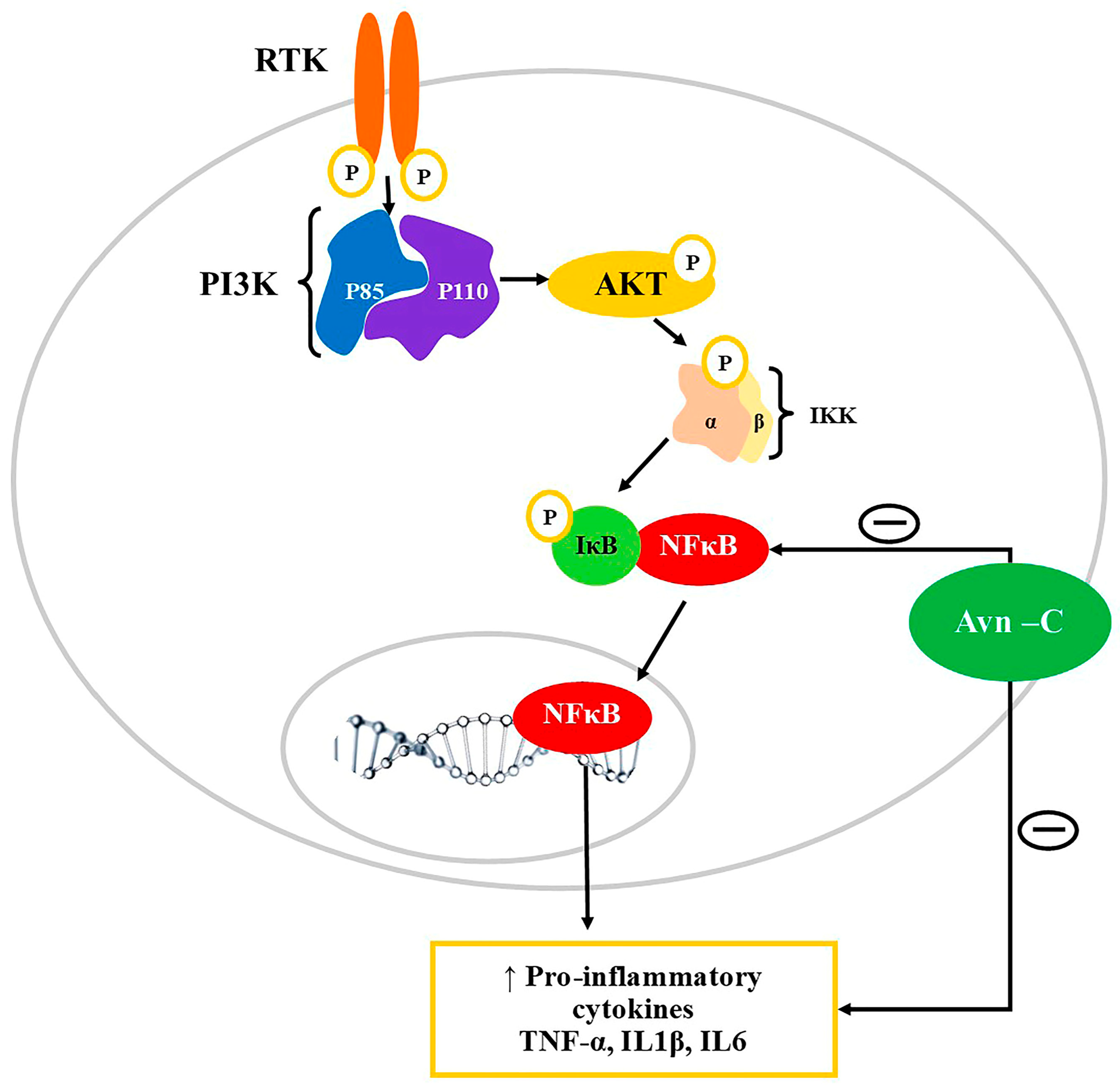Nutrients 15 03751 g003
