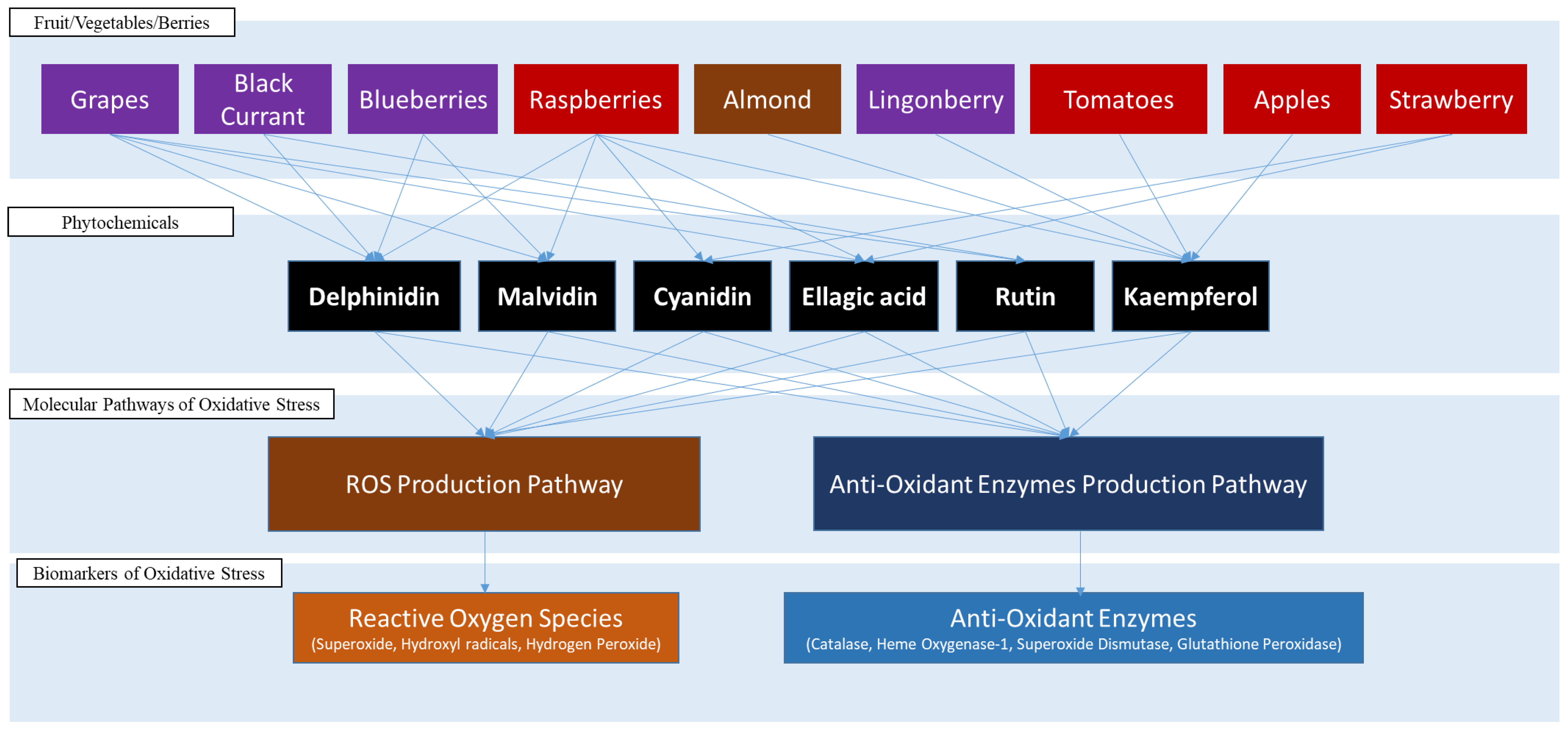 Nutrients 15 03762 g011