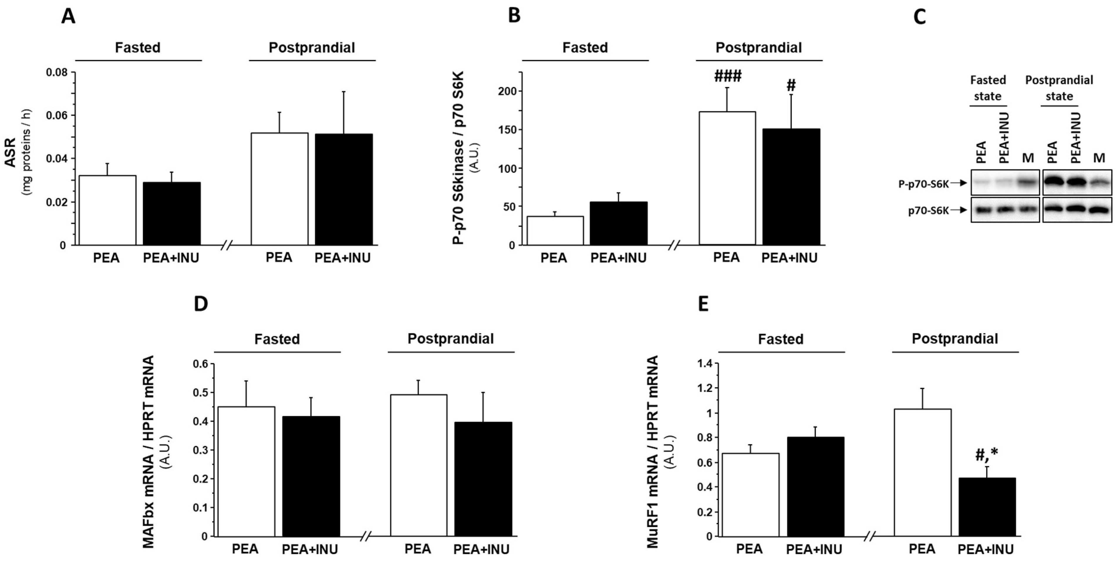 Nutrients 15 03766 g001