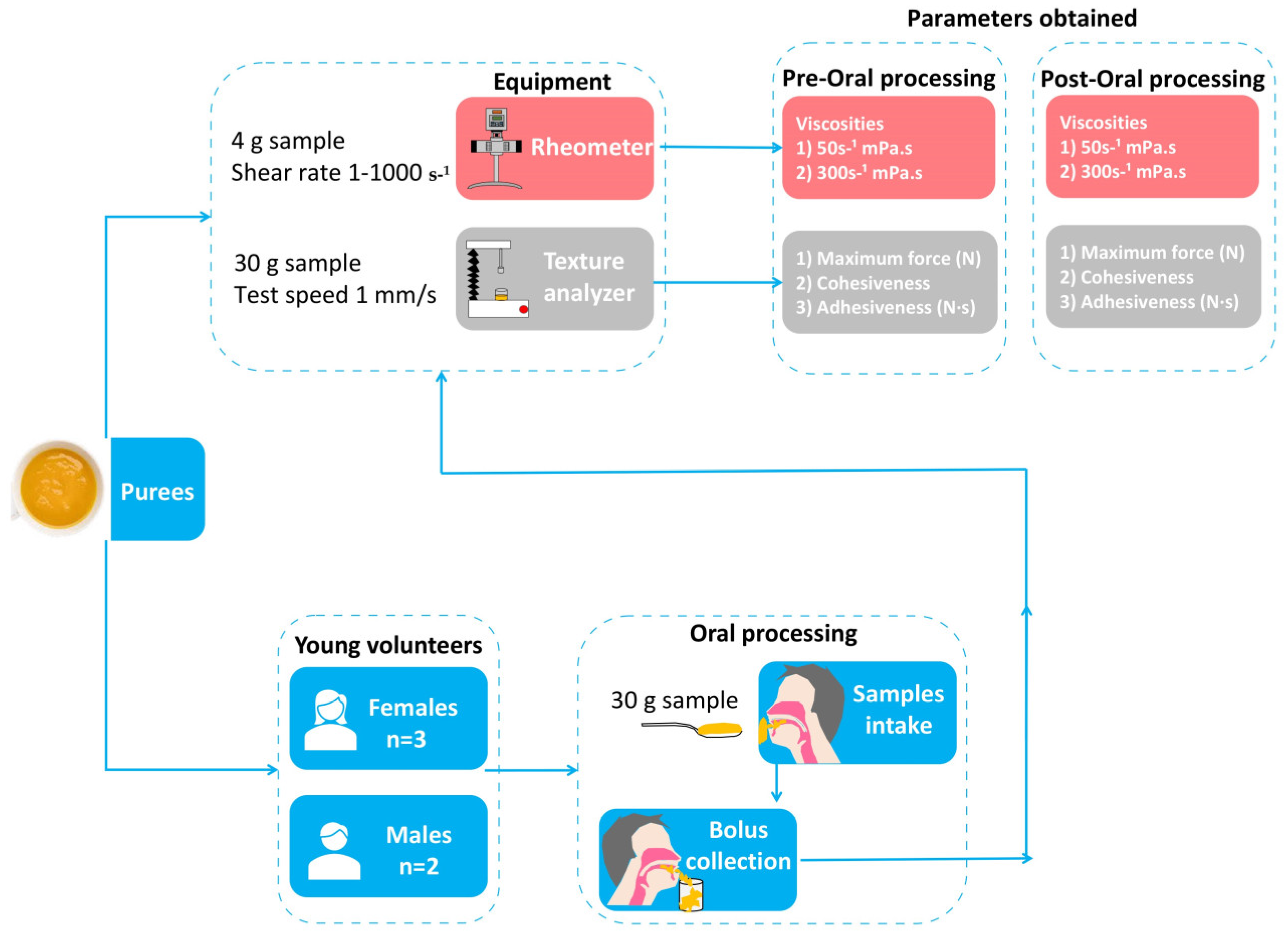 Nutrients 15 03767 g001 Nutrients 15 03767 g001