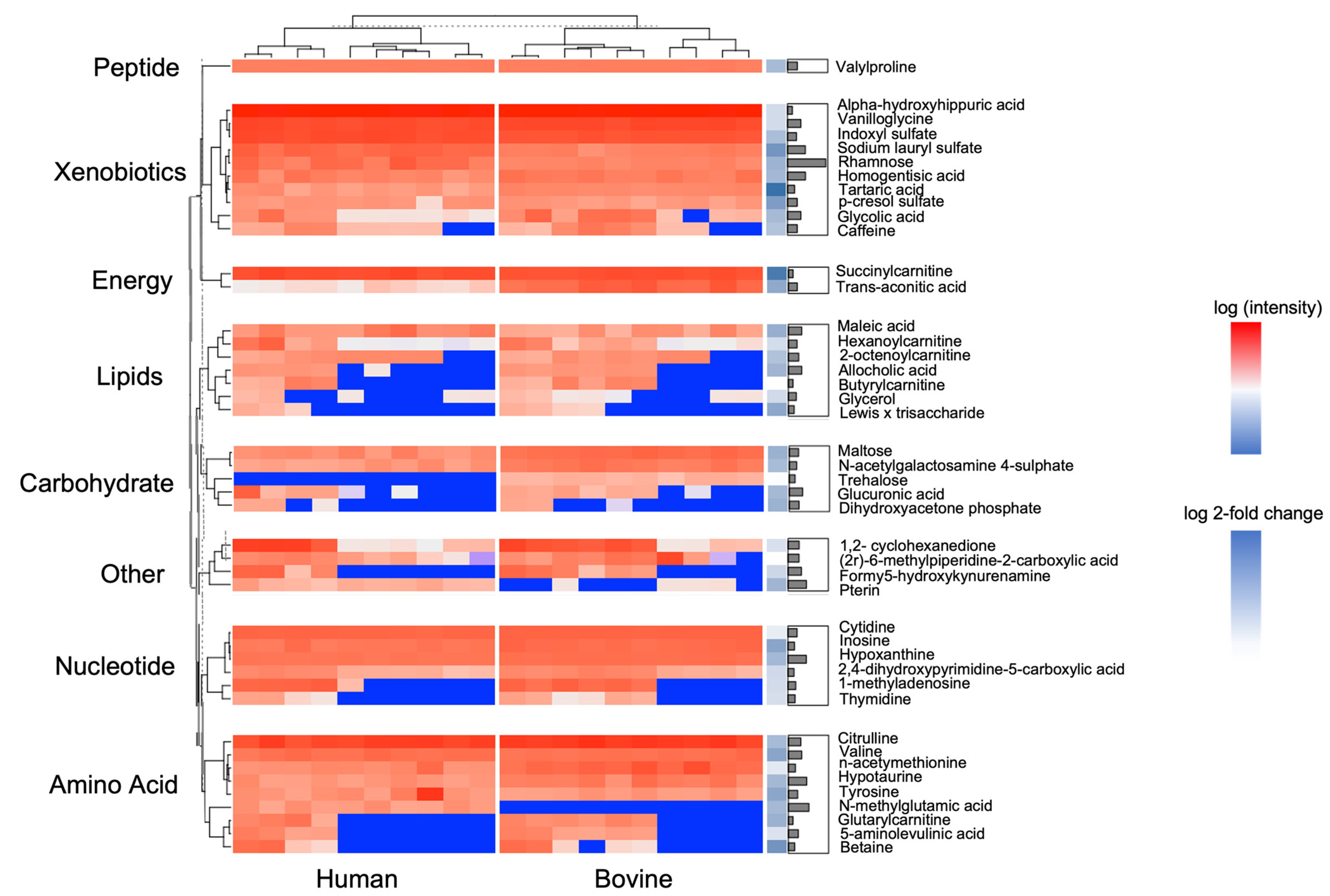 Nutrients 15 03768 g003 Nutrients 15 03768 g003