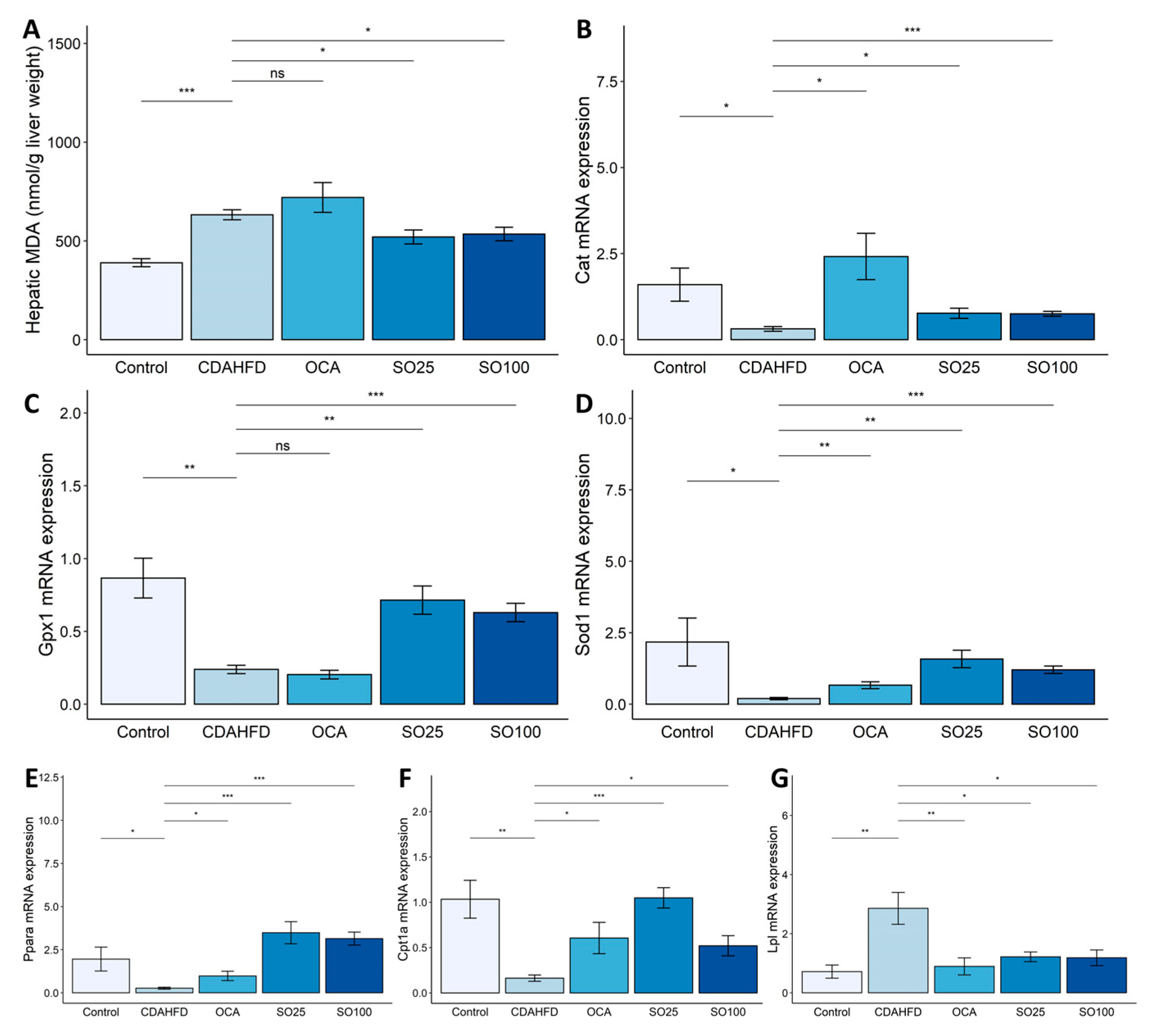 Nutrients 15 03779 g002