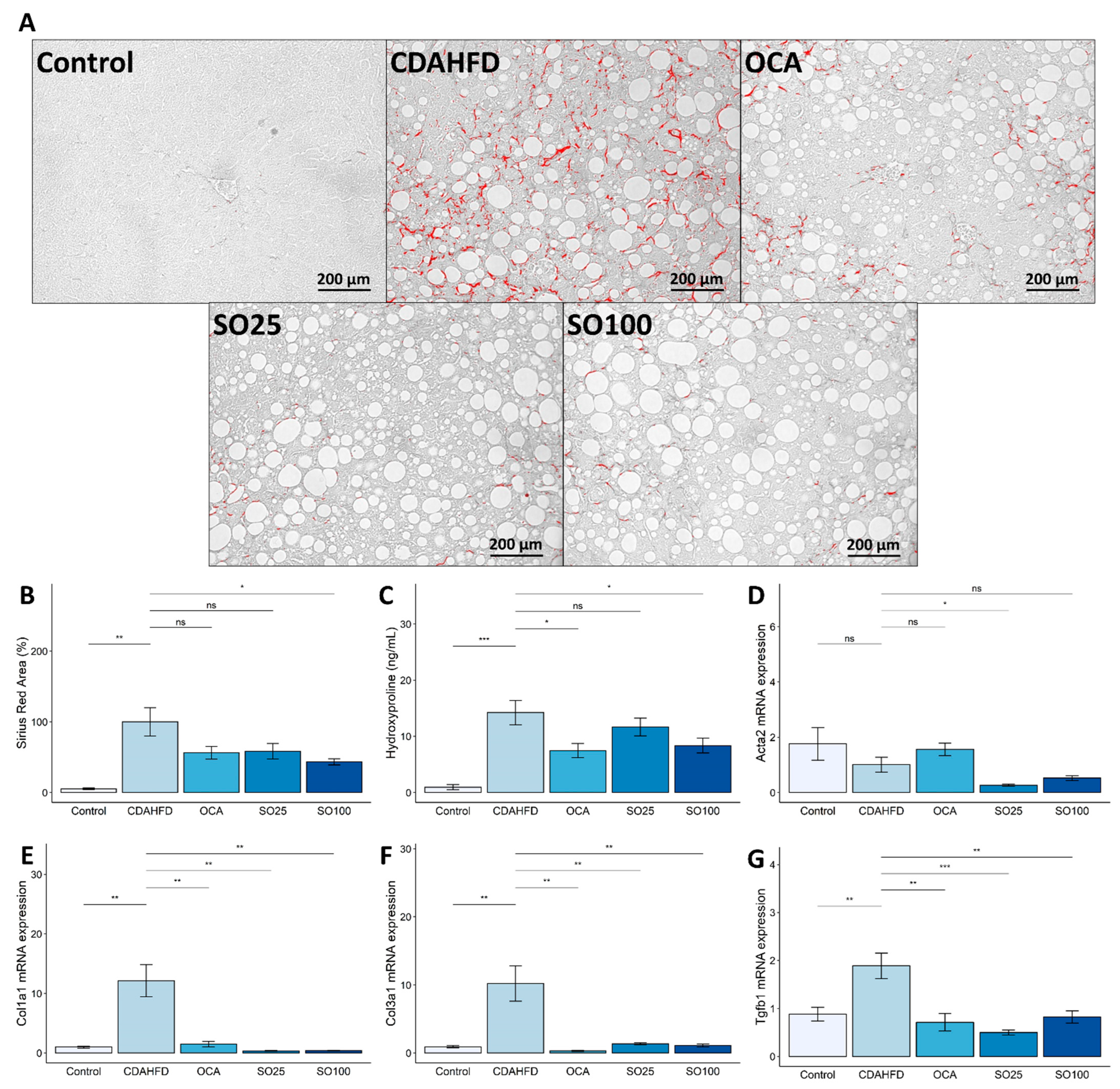 Nutrients 15 03779 g003