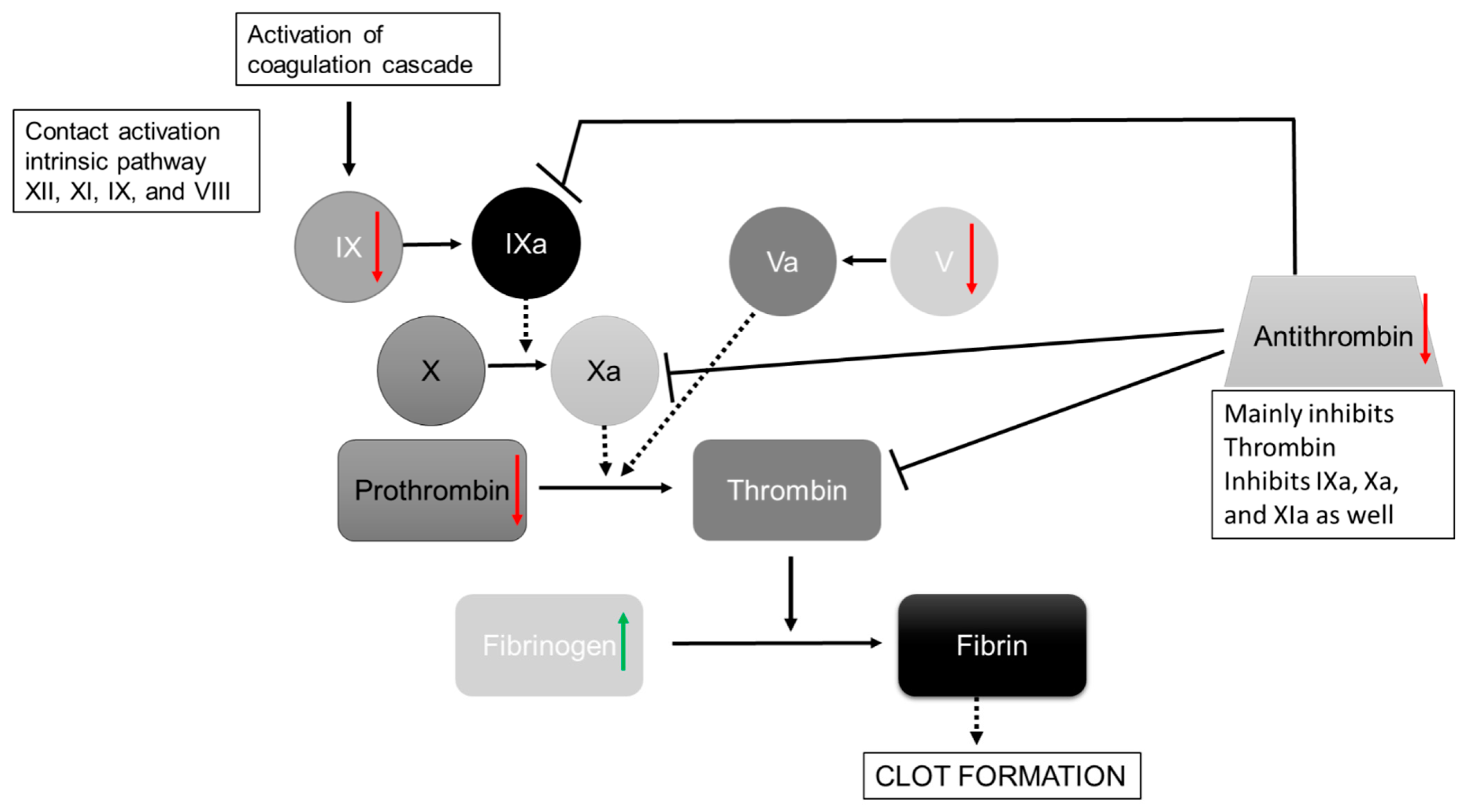 Nutrients 15 03789 g003