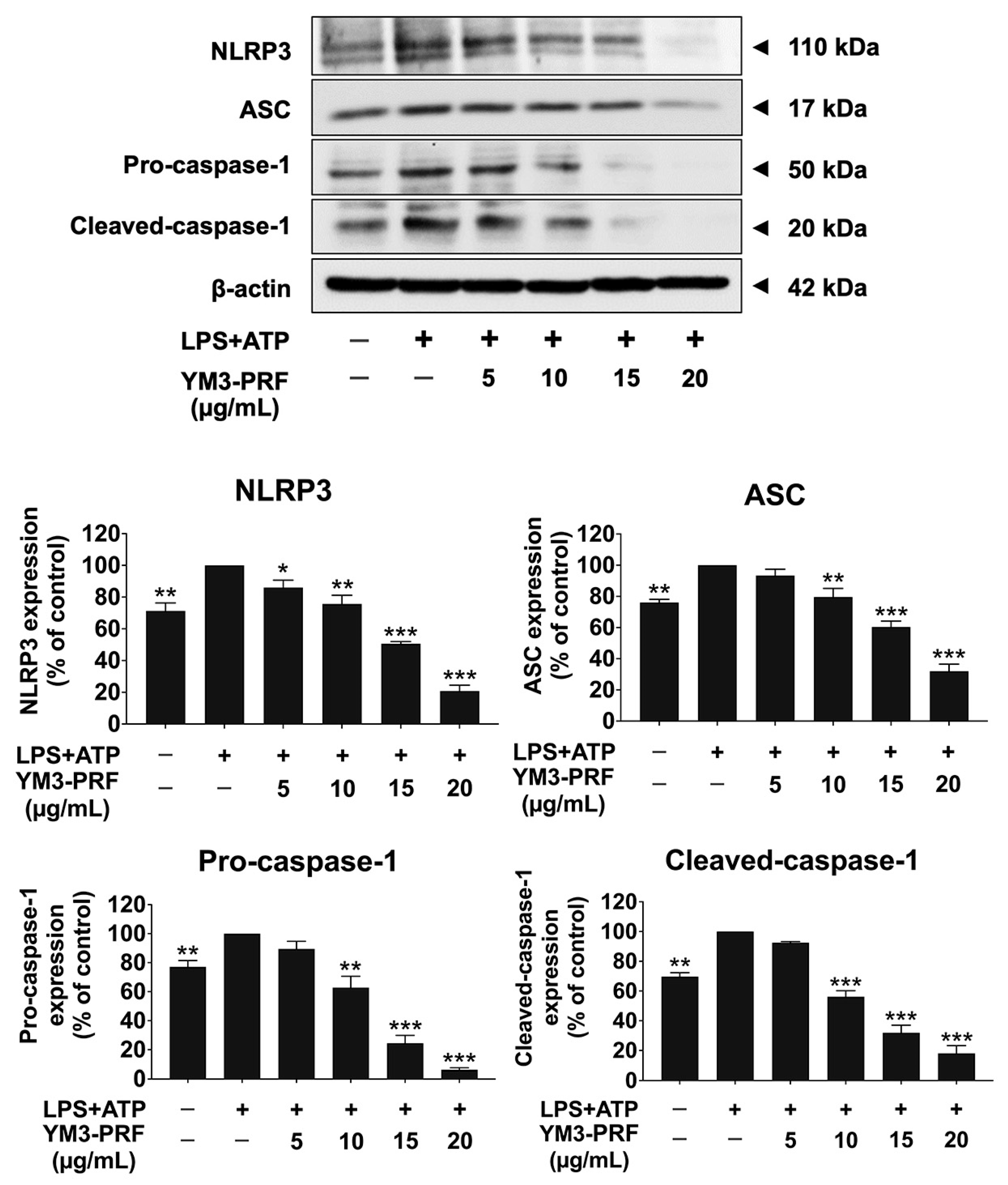 Nutrients 15 03793 g004