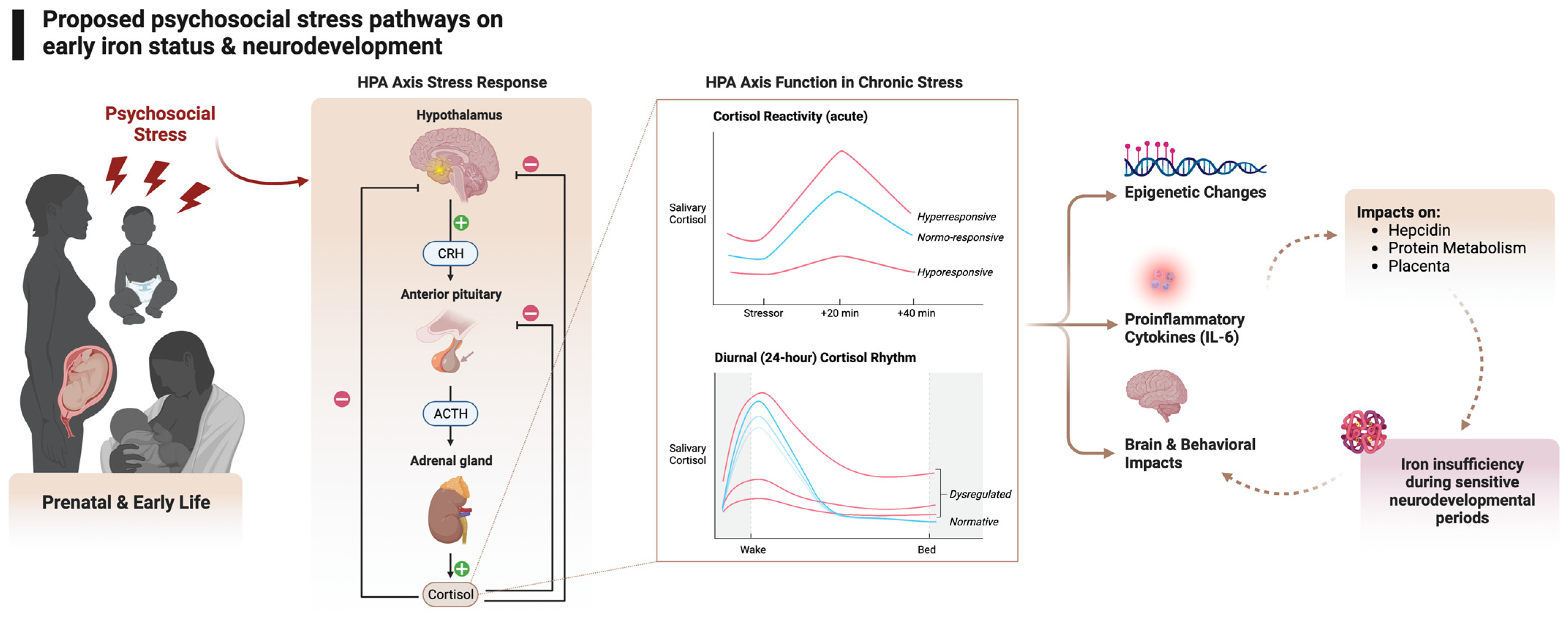 Nutrients 15 03798 g001