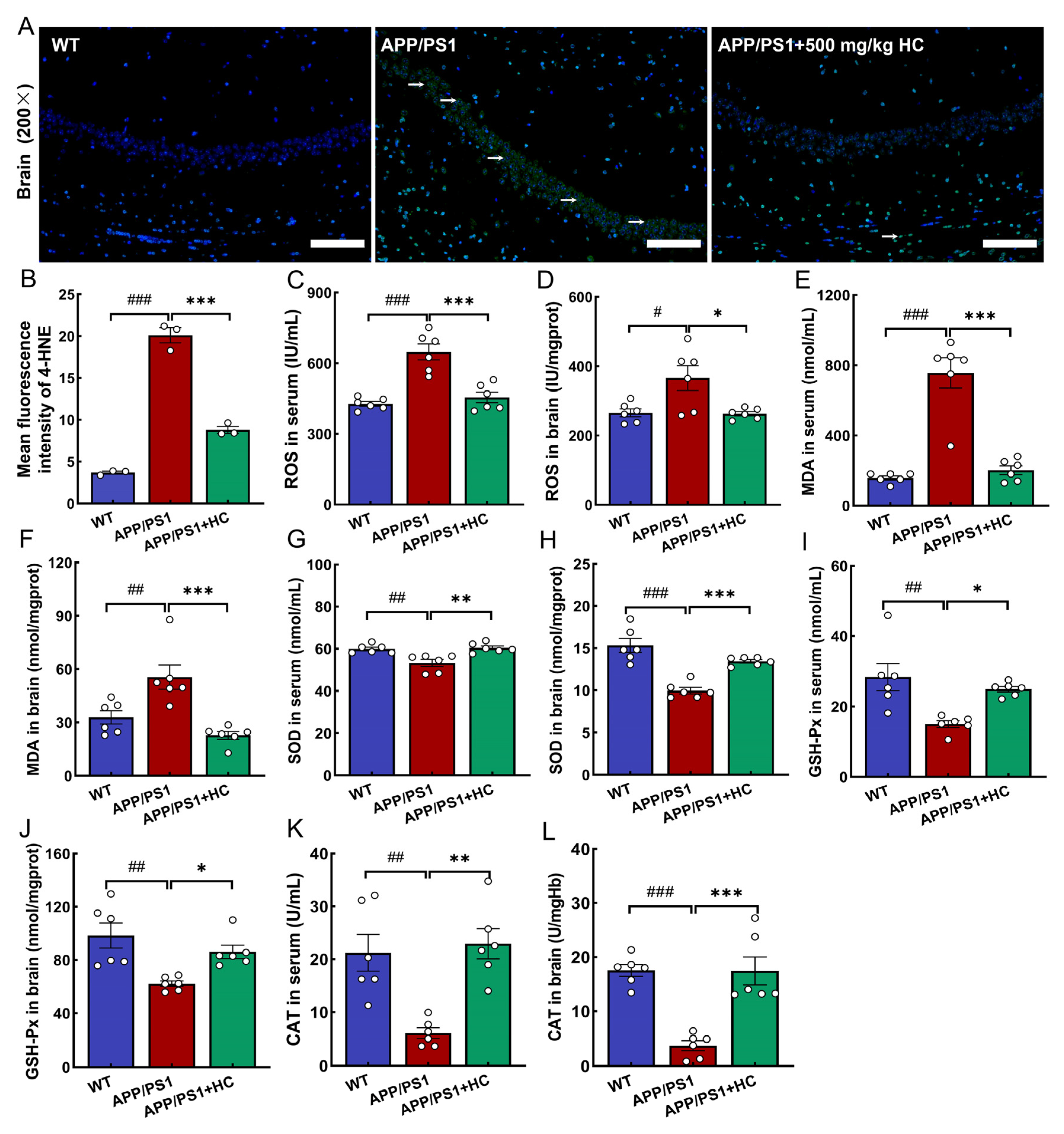 Nutrients 15 03799 g005