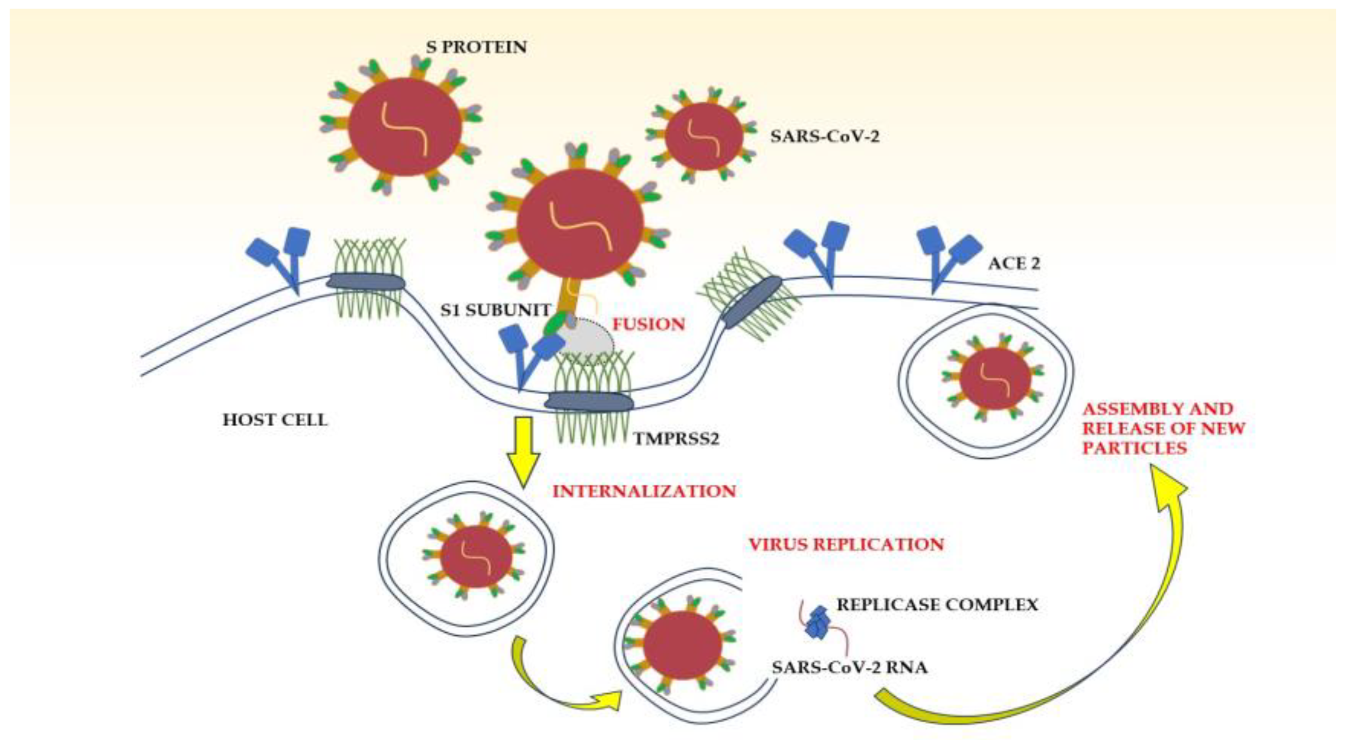 Nutrients 15 03806 g002