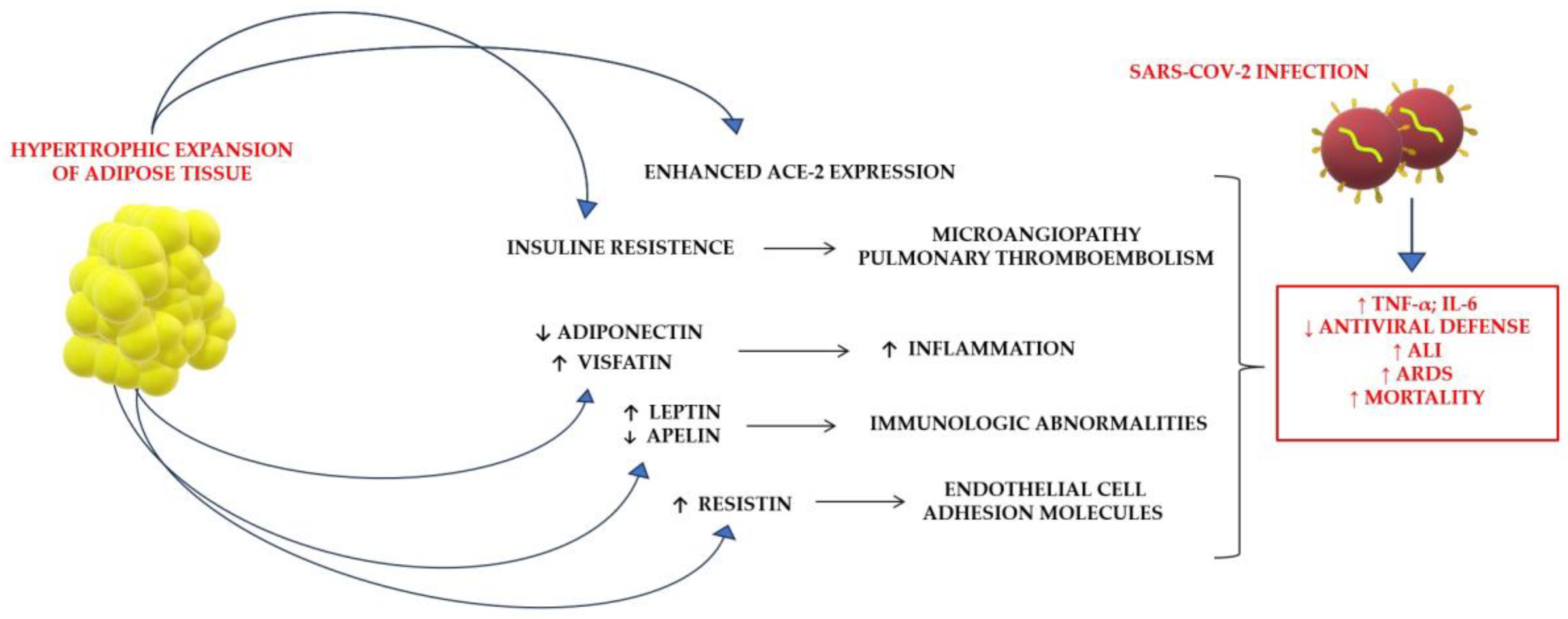 Nutrients 15 03806 g003