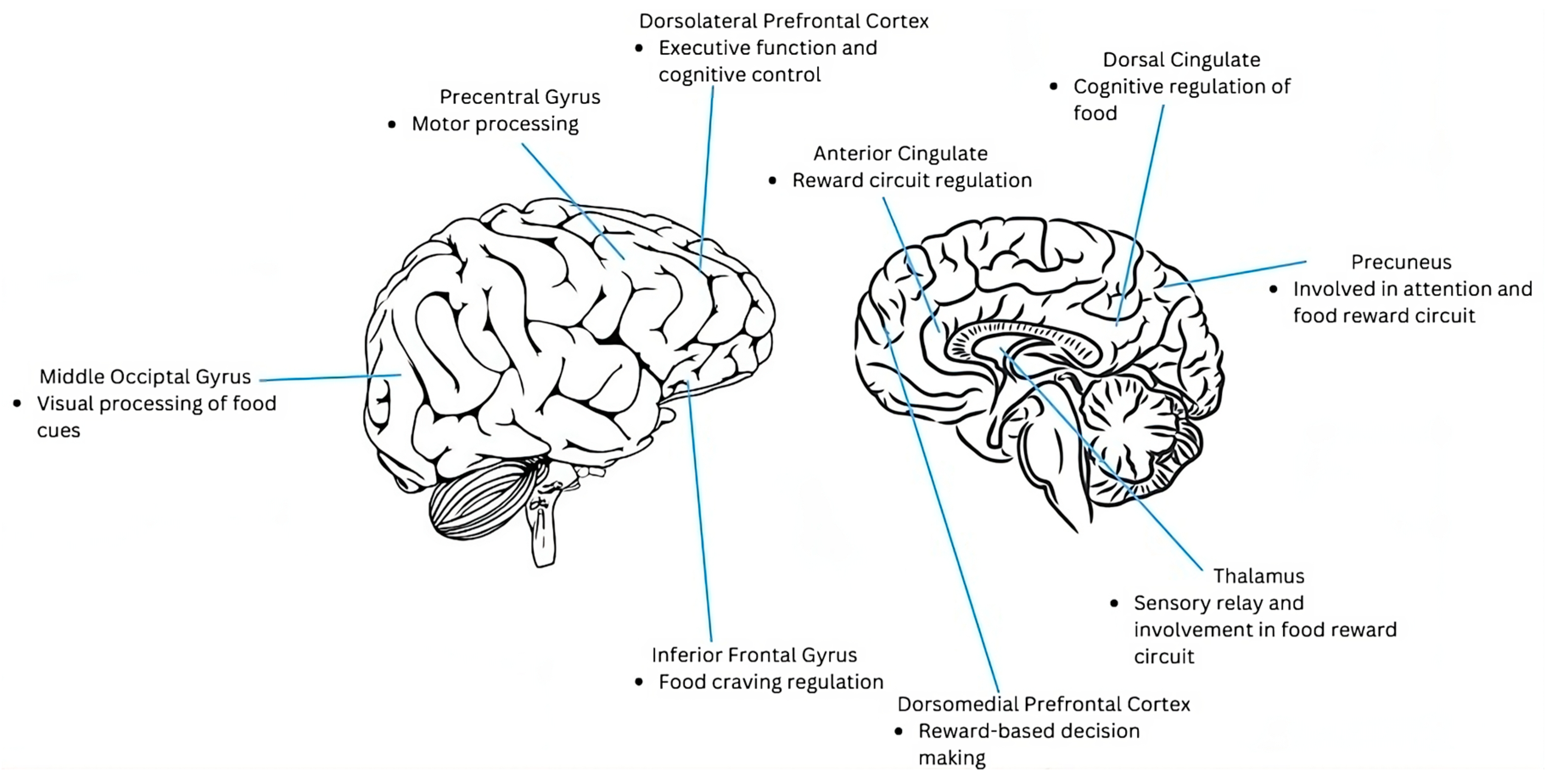 Nutrients 15 03808 g0a2