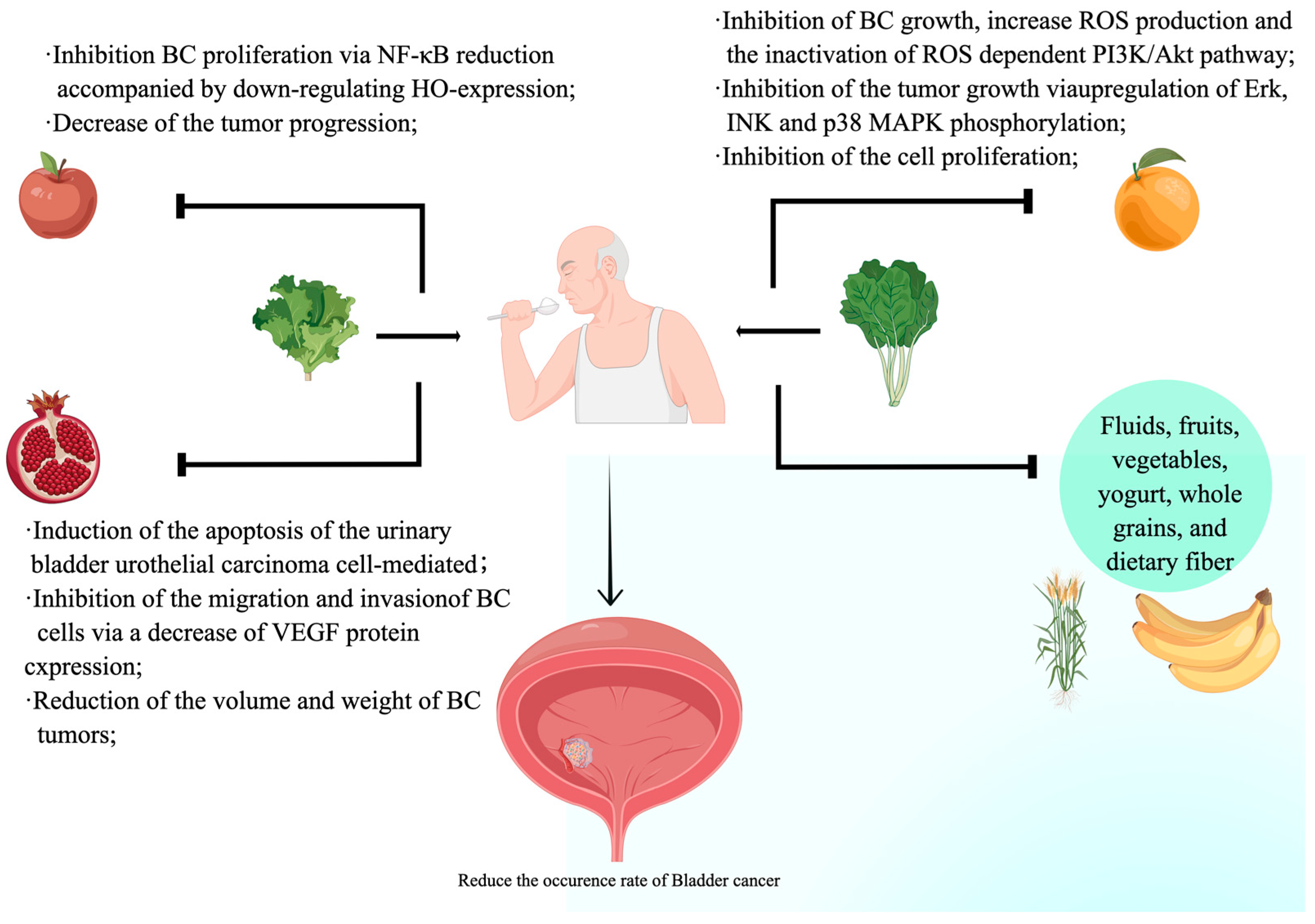 Figure 1.Foods rich in nutrients, including fruits and vegetables, have the...
