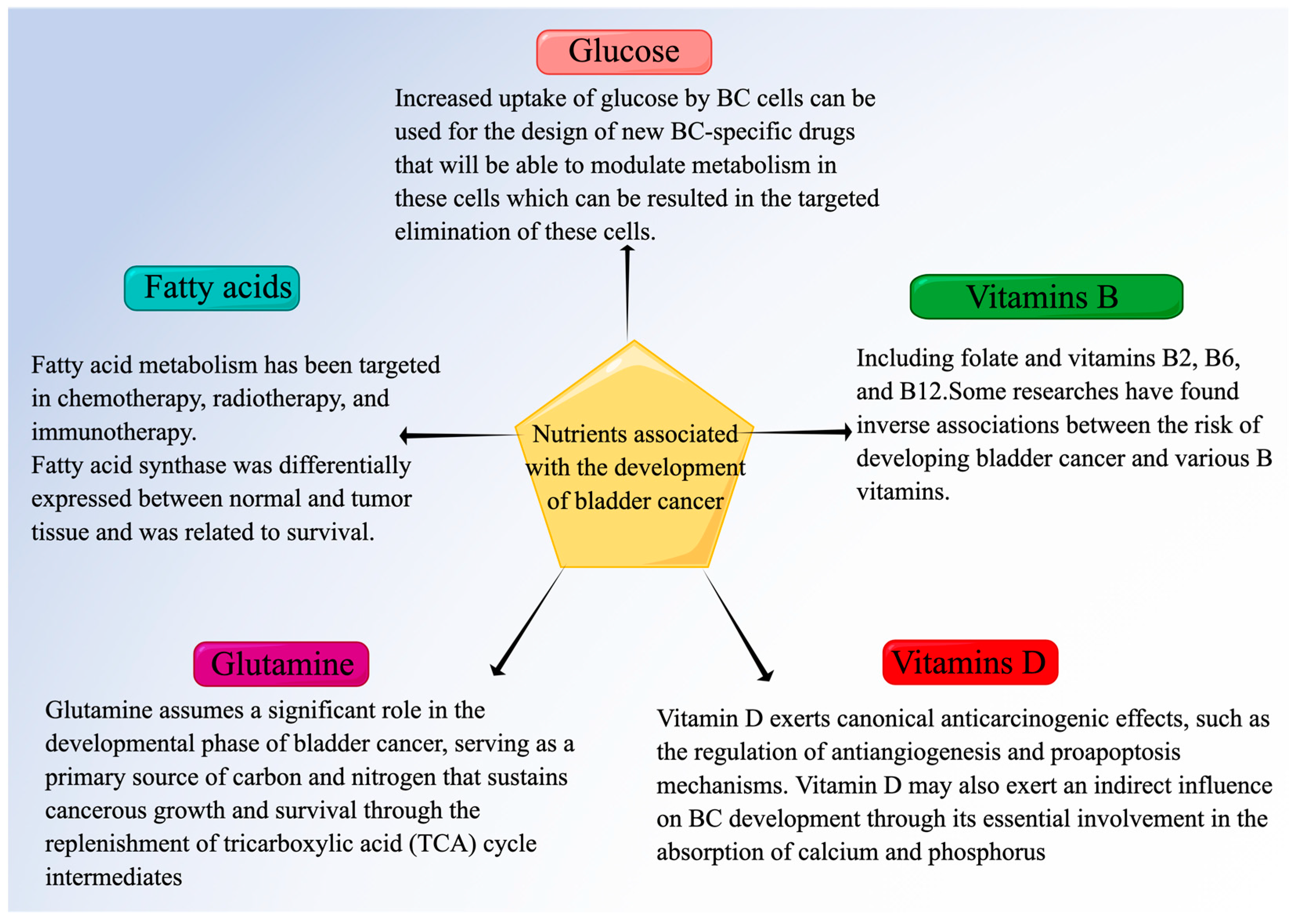 Nutrients 15 03812 g002