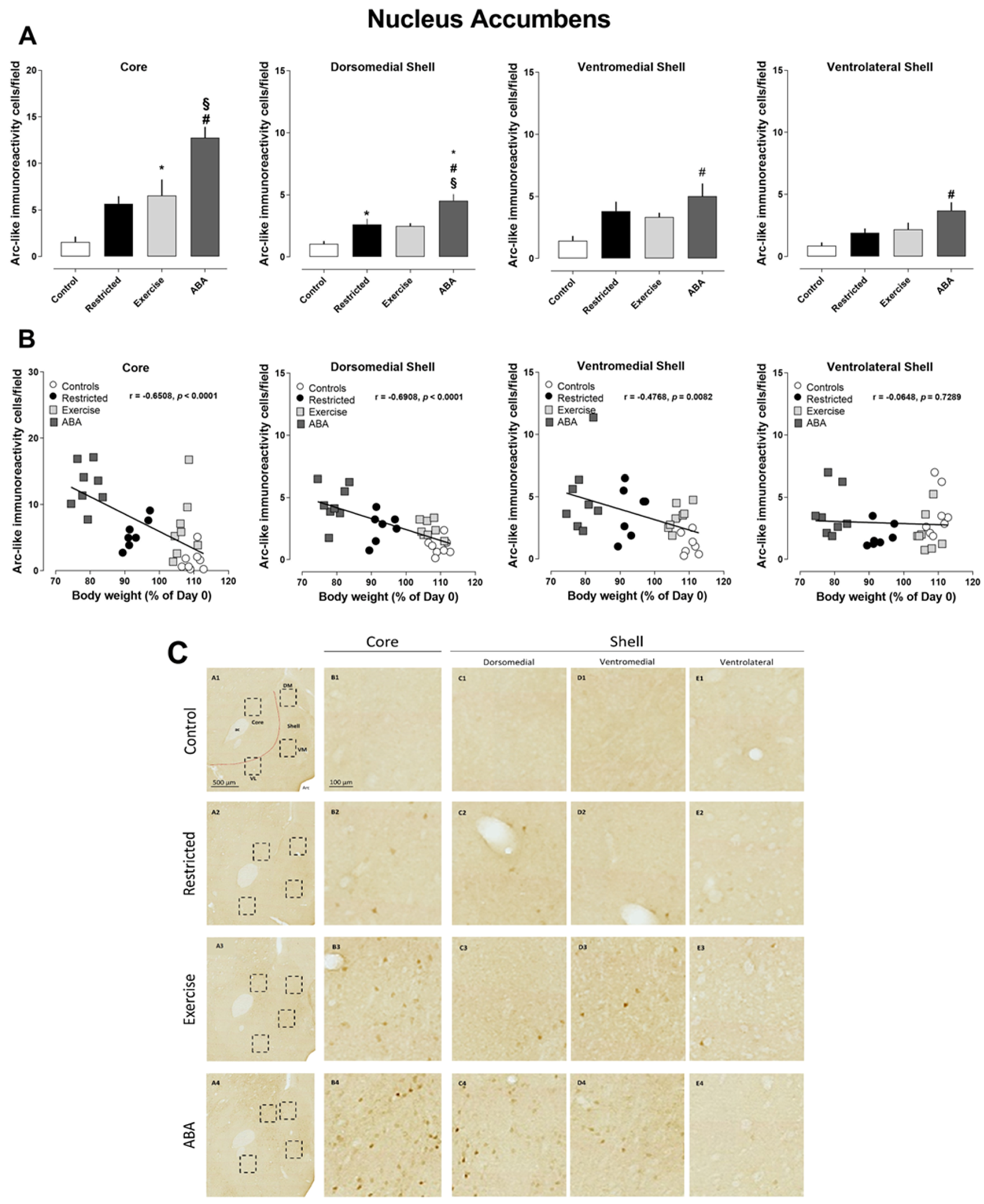 Nutrients 15 03830 g007 Nutrients 15 03830 g007