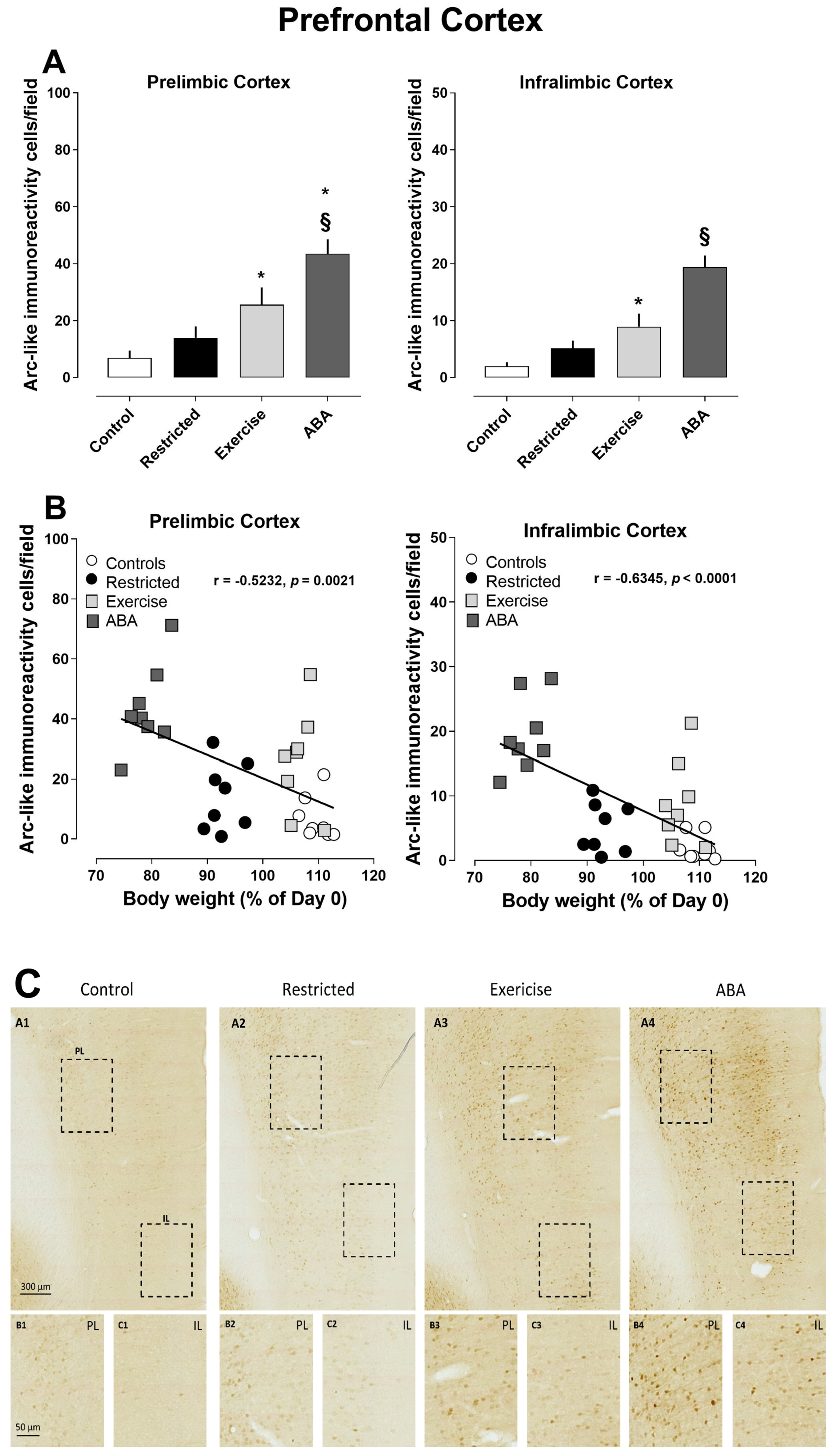 Nutrients 15 03830 g009 Nutrients 15 03830 g009