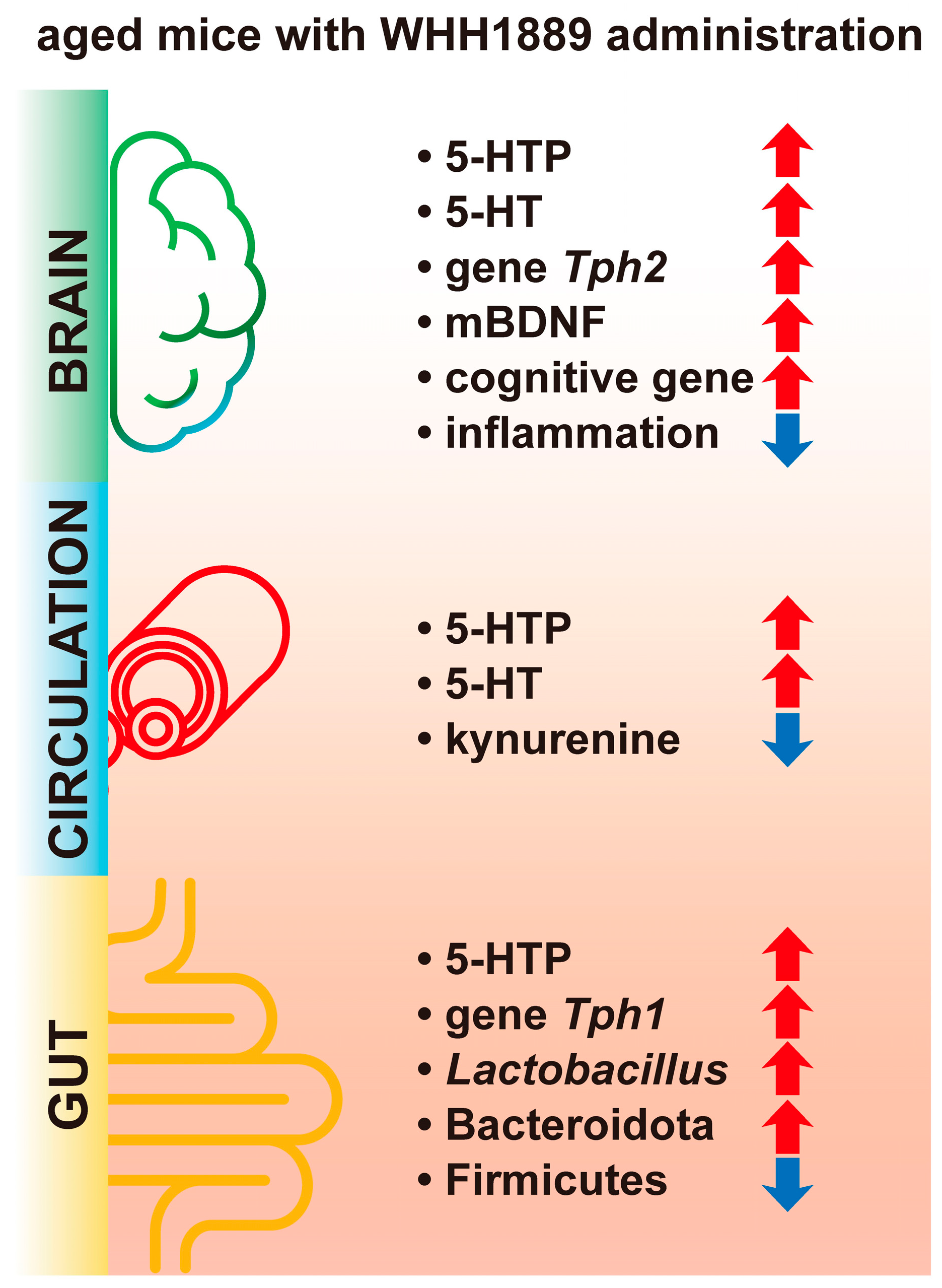 Nutrients 15 03852 g007