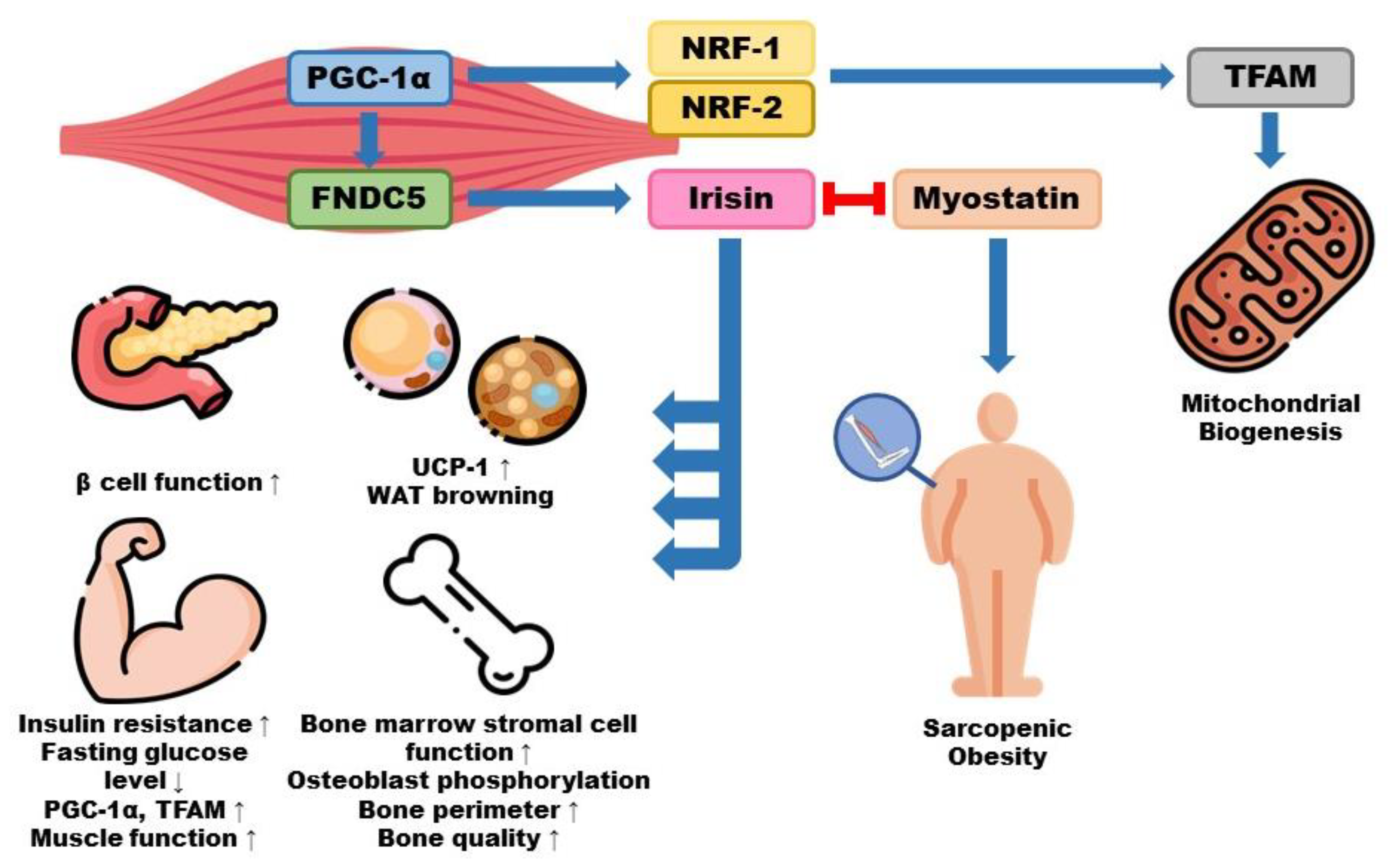 Nutrients 15 03854 g002 Nutrients 15 03854 g002
