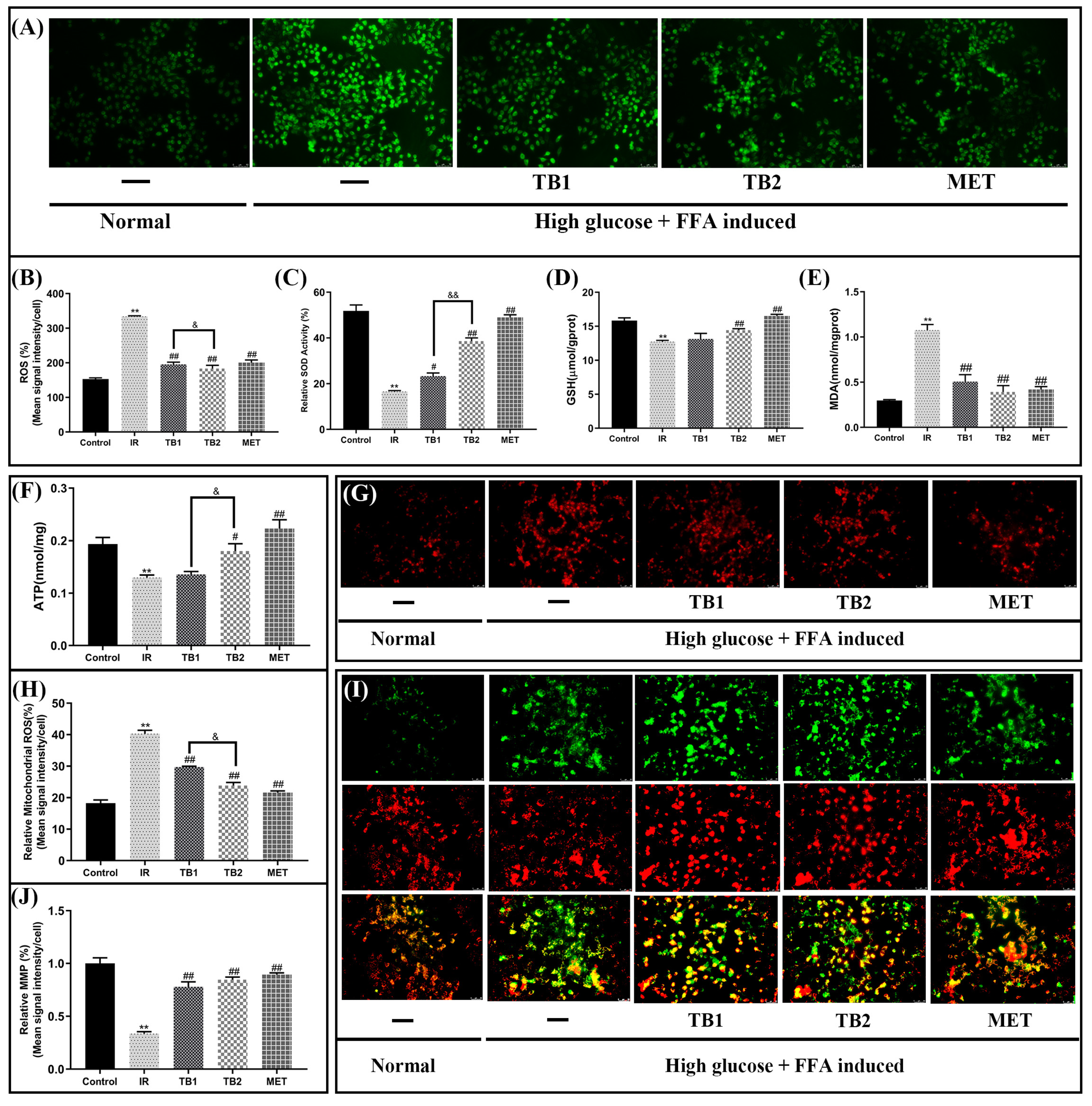 Nutrients 15 03862 g004