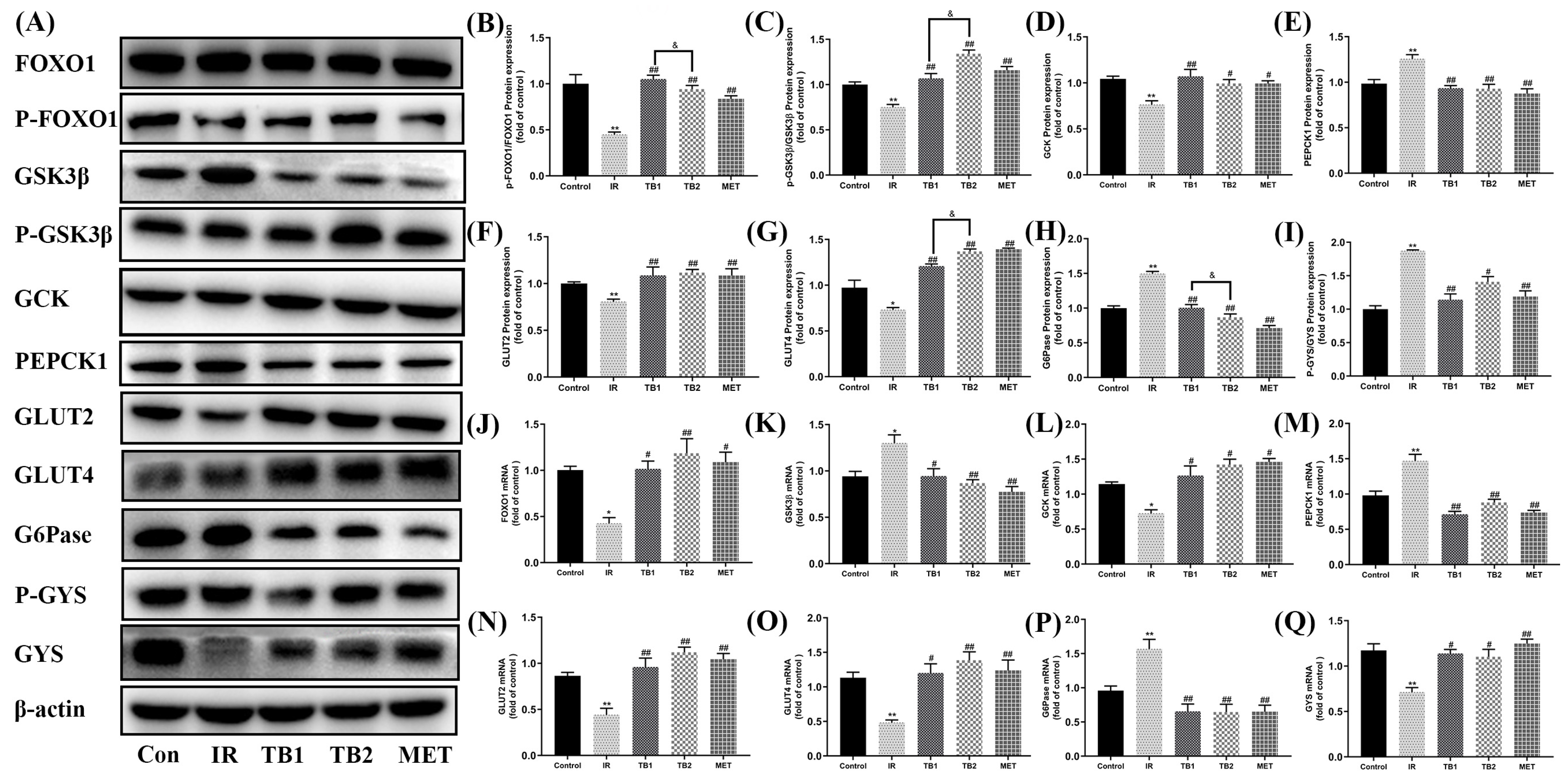 Nutrients 15 03862 g005