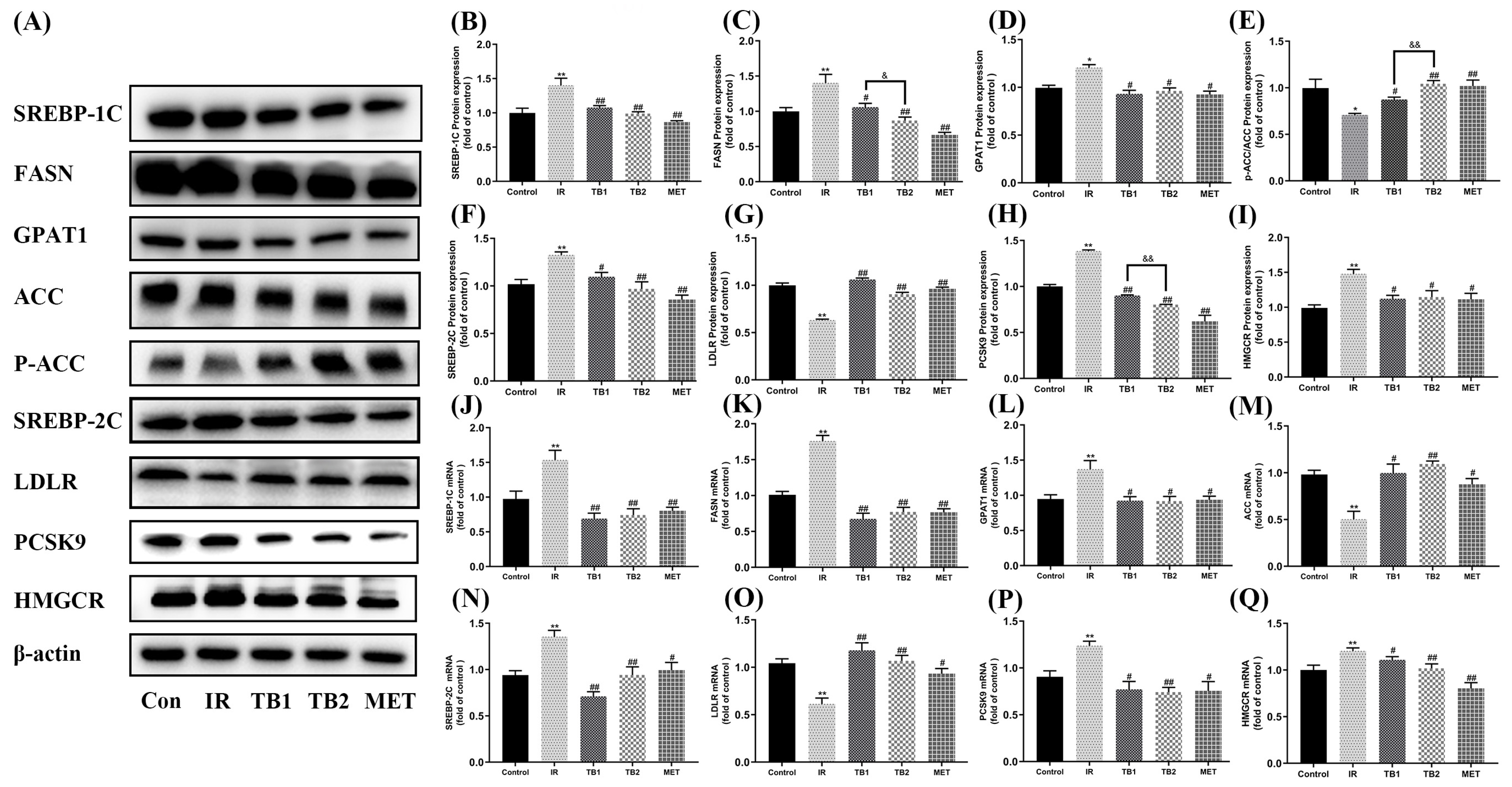 Nutrients 15 03862 g006