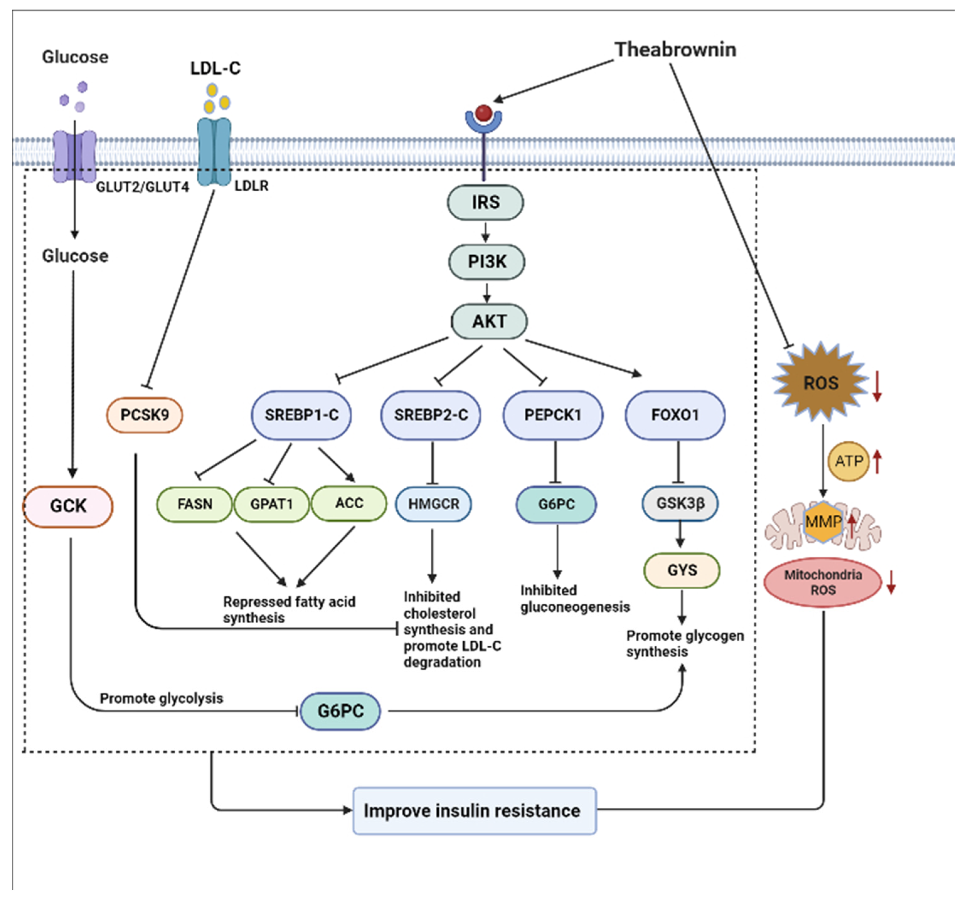 Nutrients 15 03862 g009