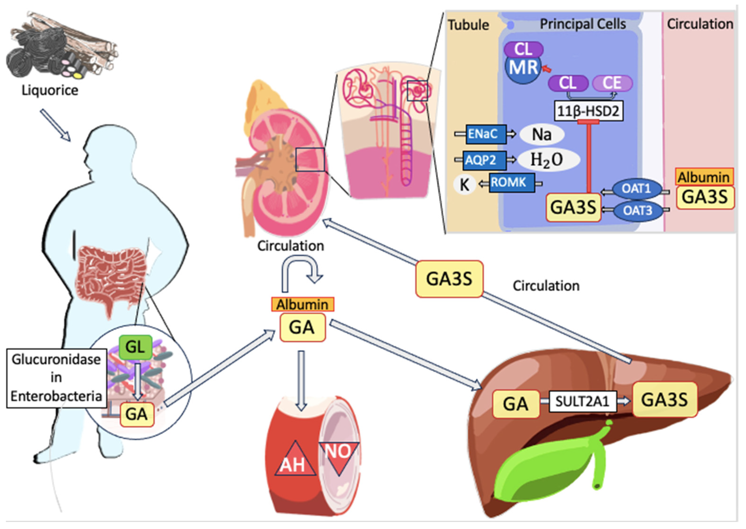 Nutrients 15 03866 g002