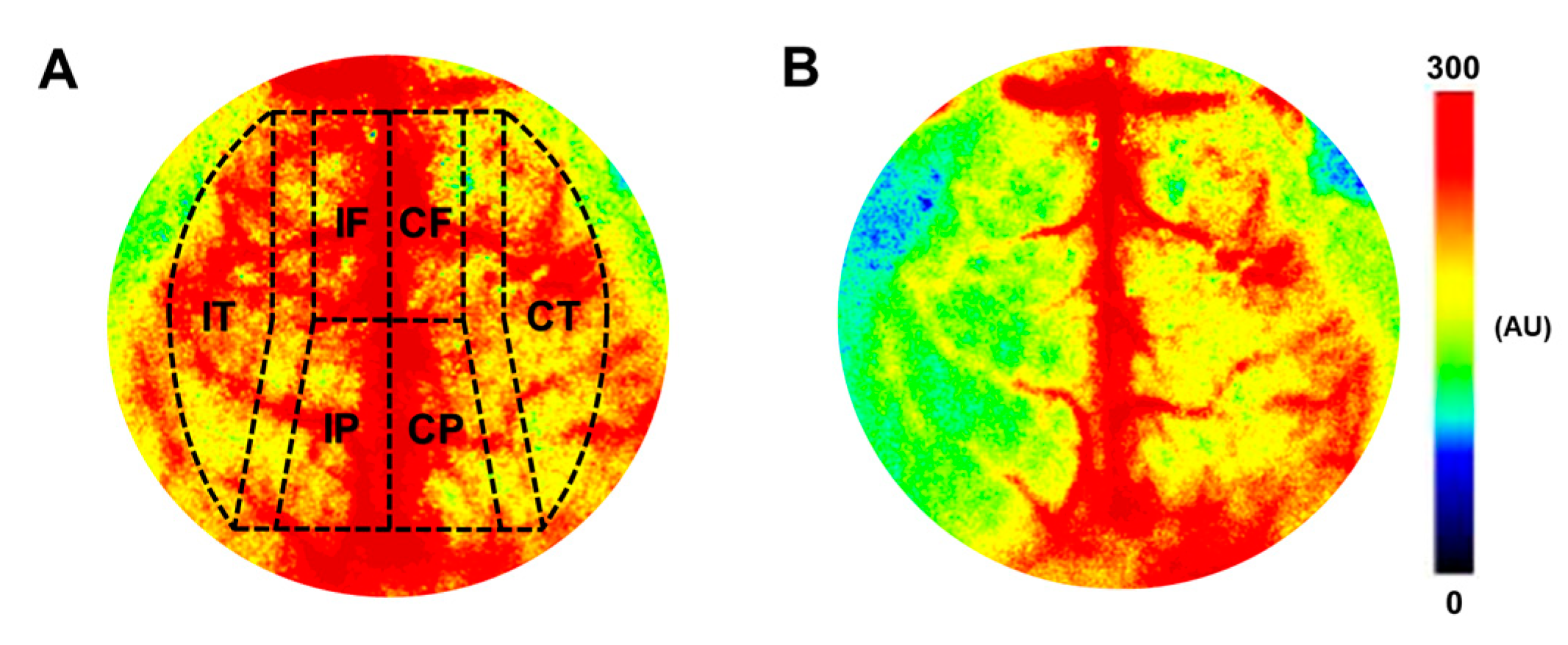 Nutrients 15 03869 g003 Nutrients 15 03869 g003