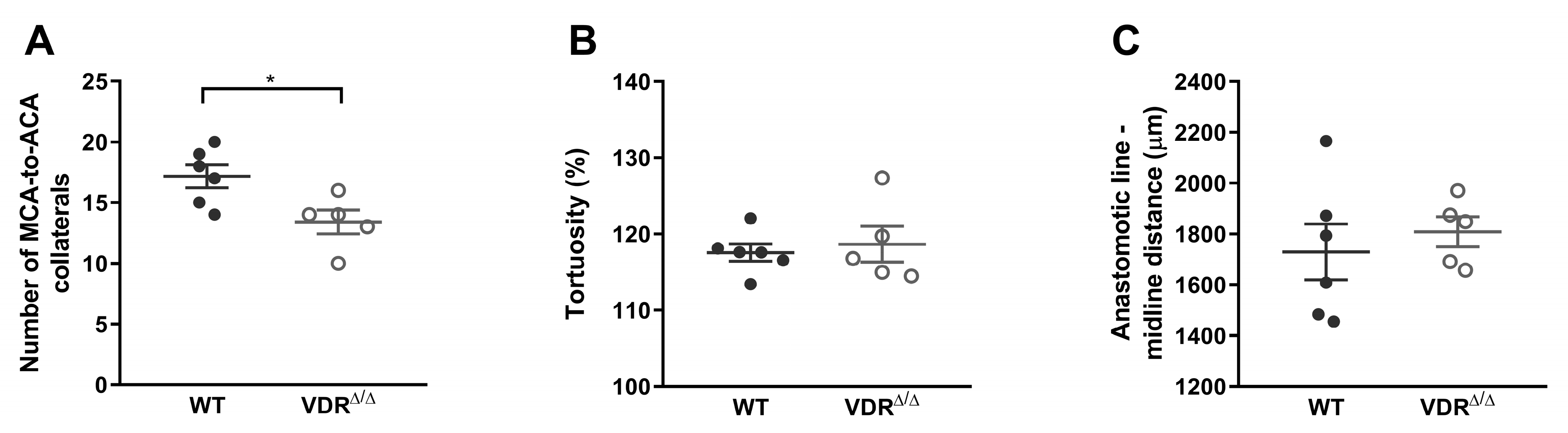 Nutrients 15 03869 g004 Nutrients 15 03869 g004