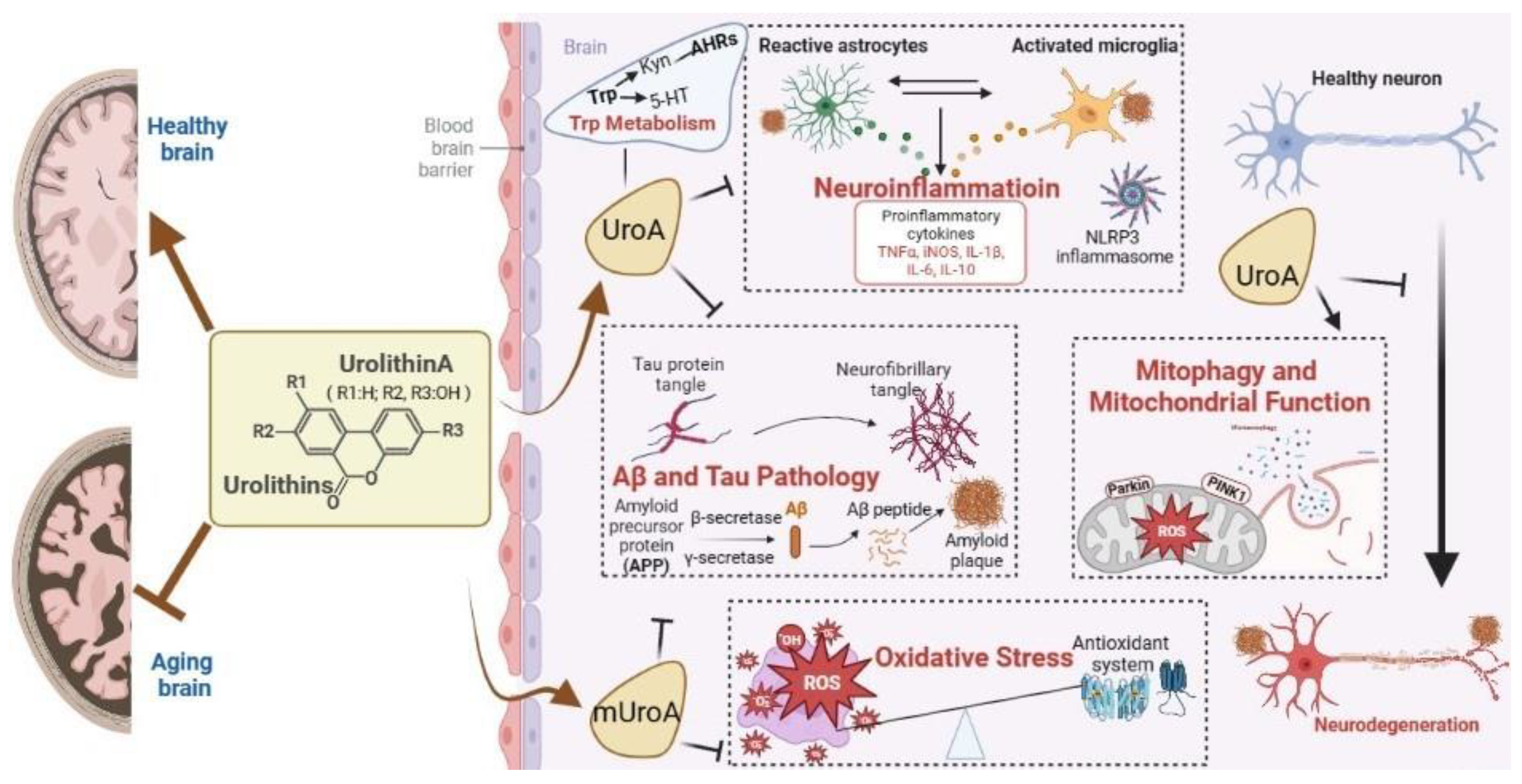 Nutrients 15 03884 g001