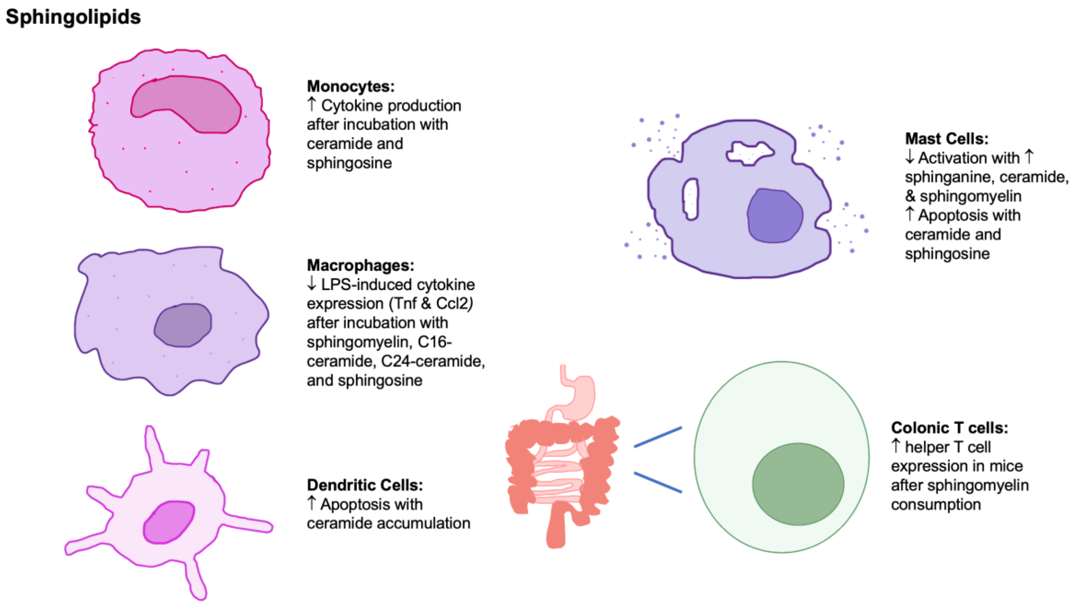 Nutrients 15 03899 g003 Nutrients 15 03899 g003