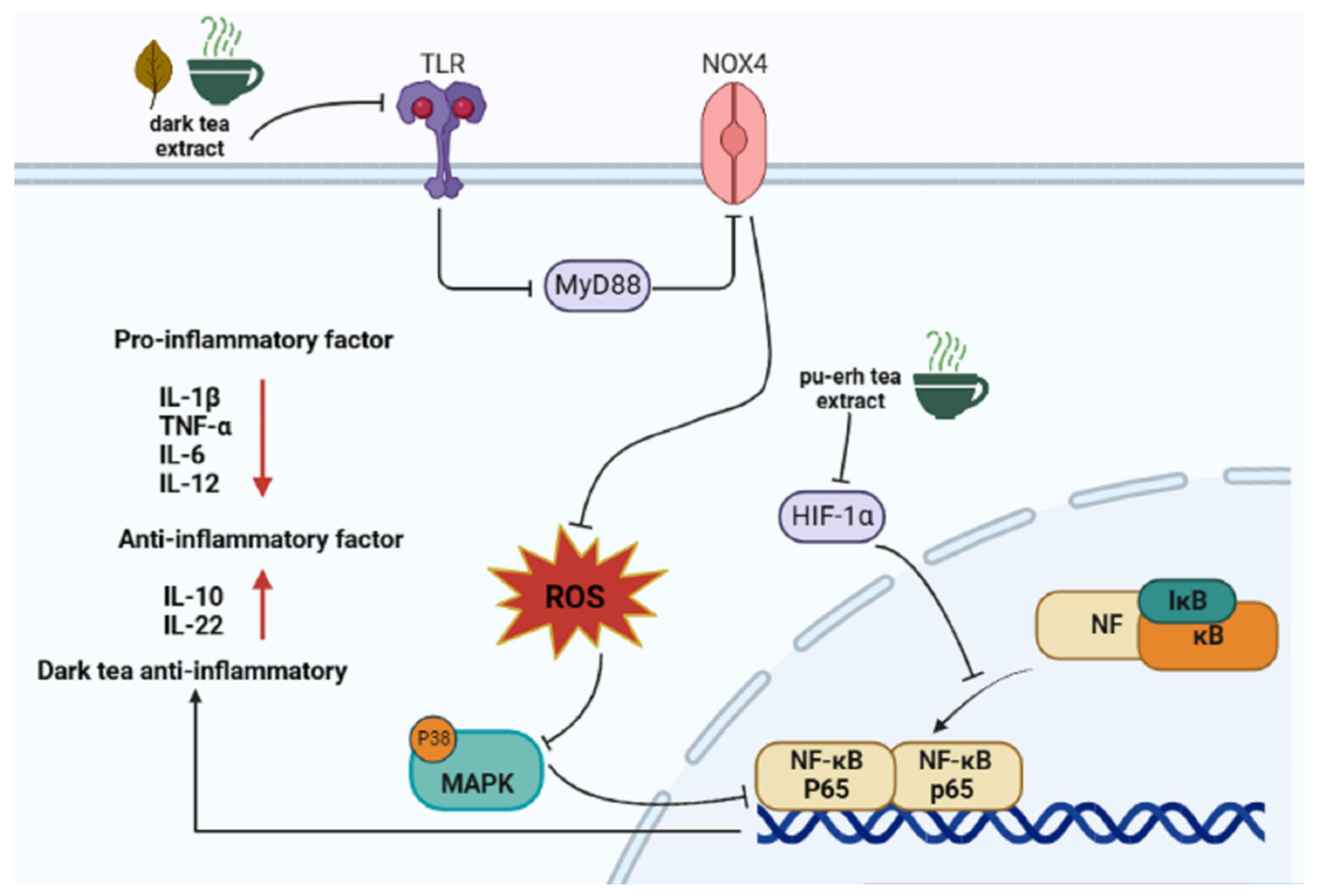 Nutrients 15 03903 g002