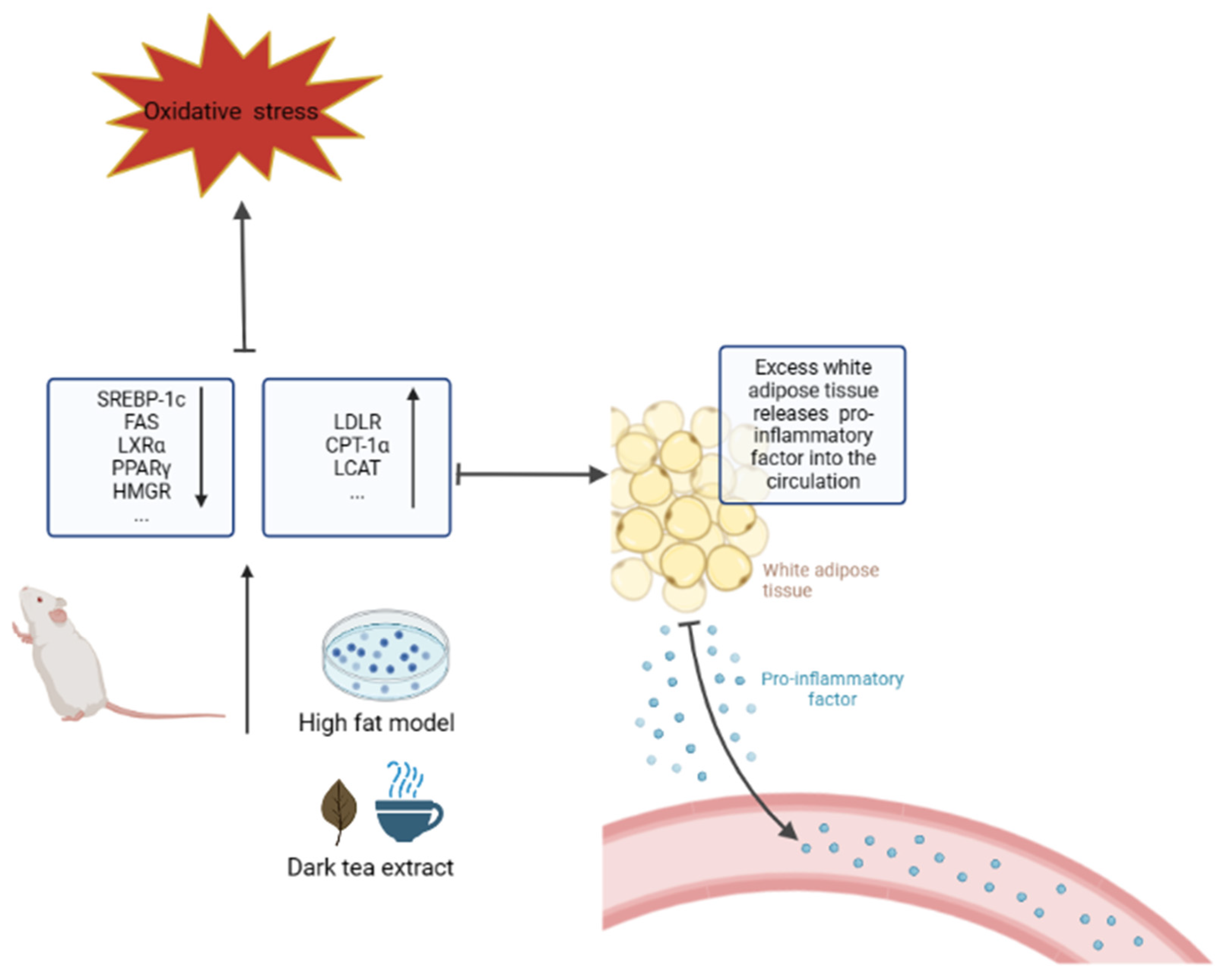 Nutrients 15 03903 g004
