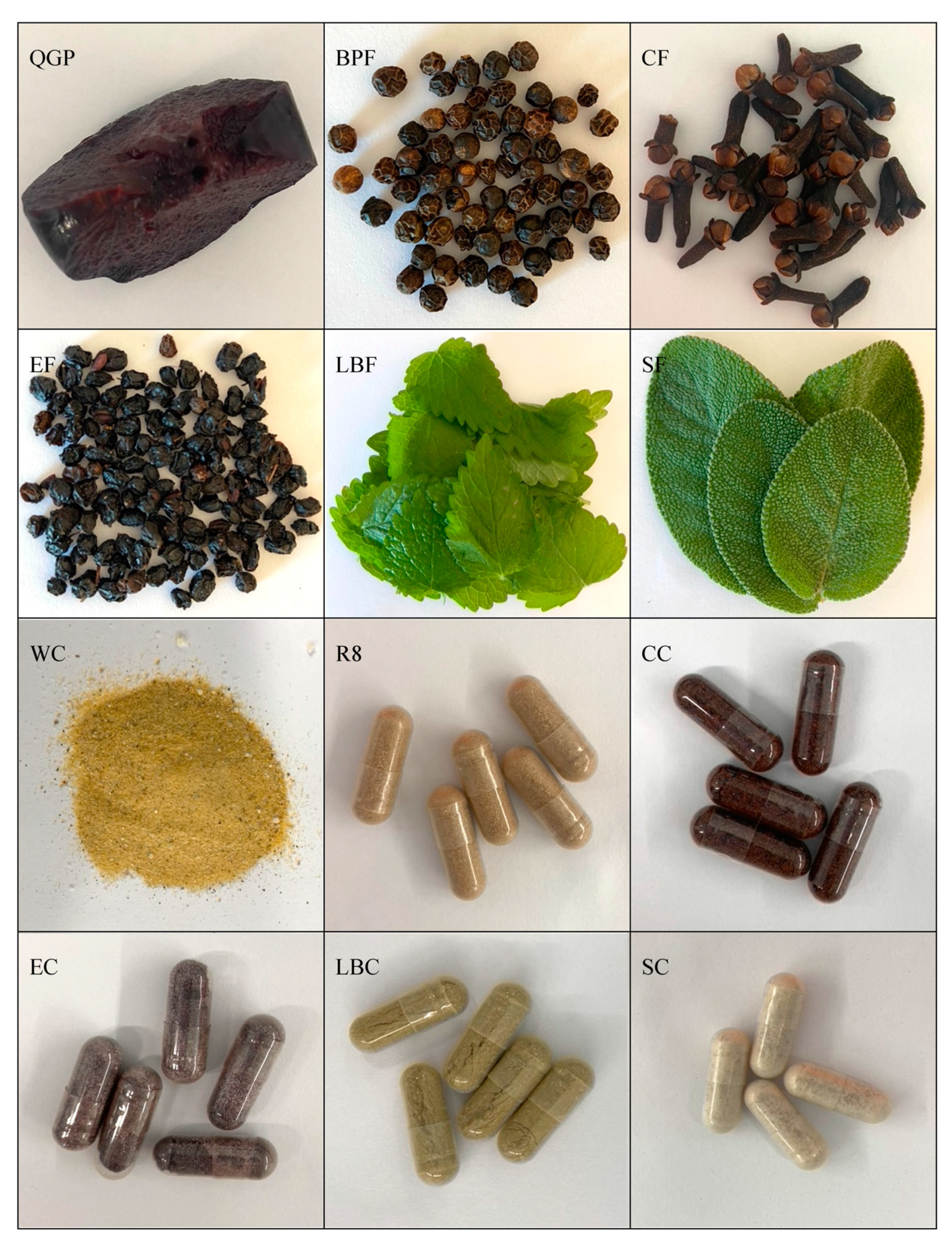 Nutrients 15 03912 g001