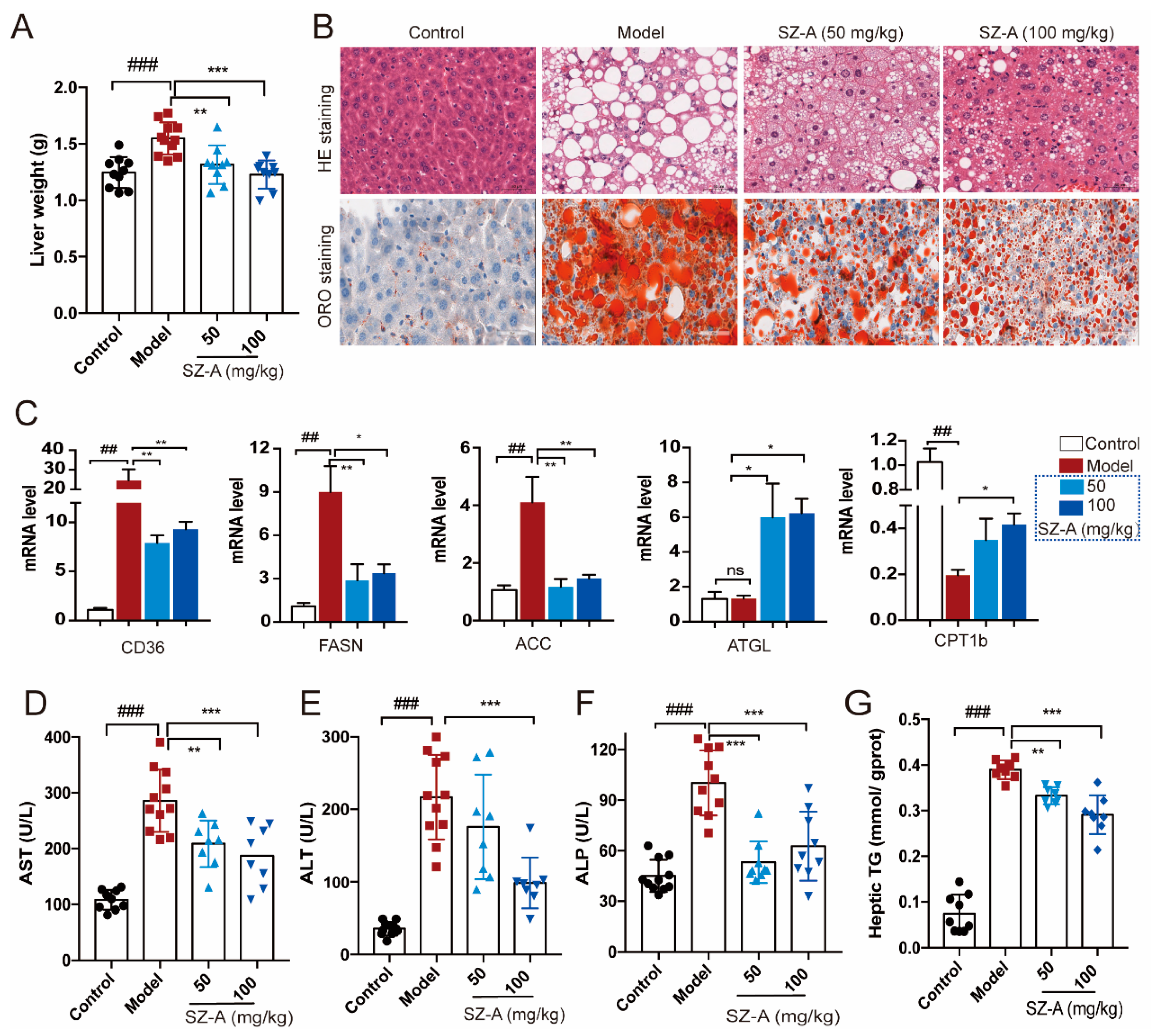 Nutrients 15 03914 g002