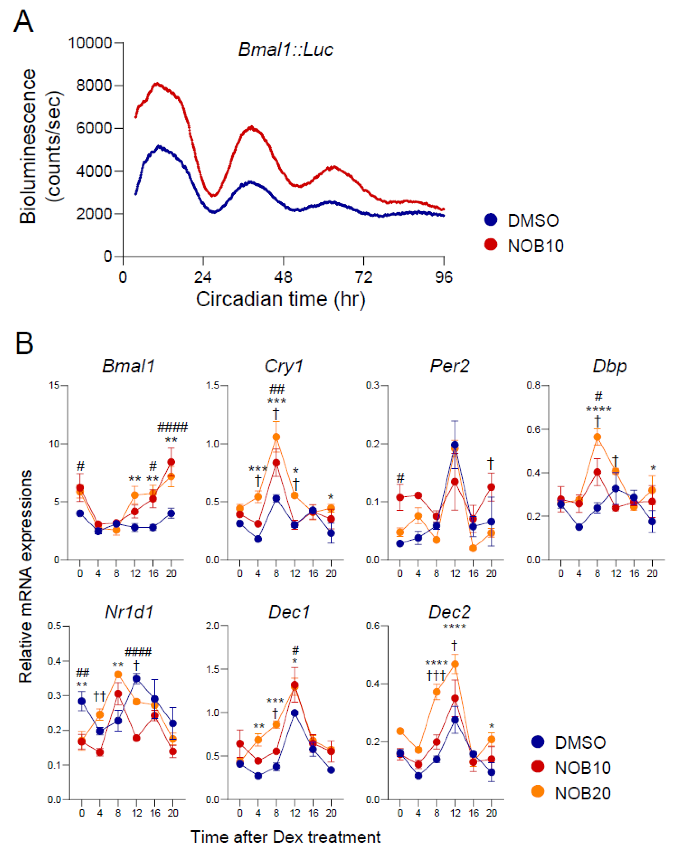Nutrients 15 03919 g001 Nutrients 15 03919 g001